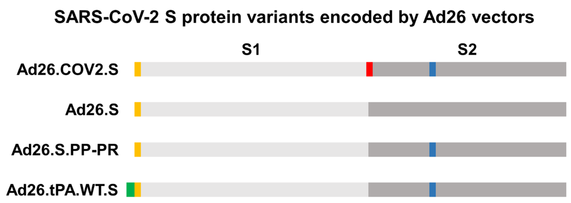 Vaccines 12 00559 g0a1