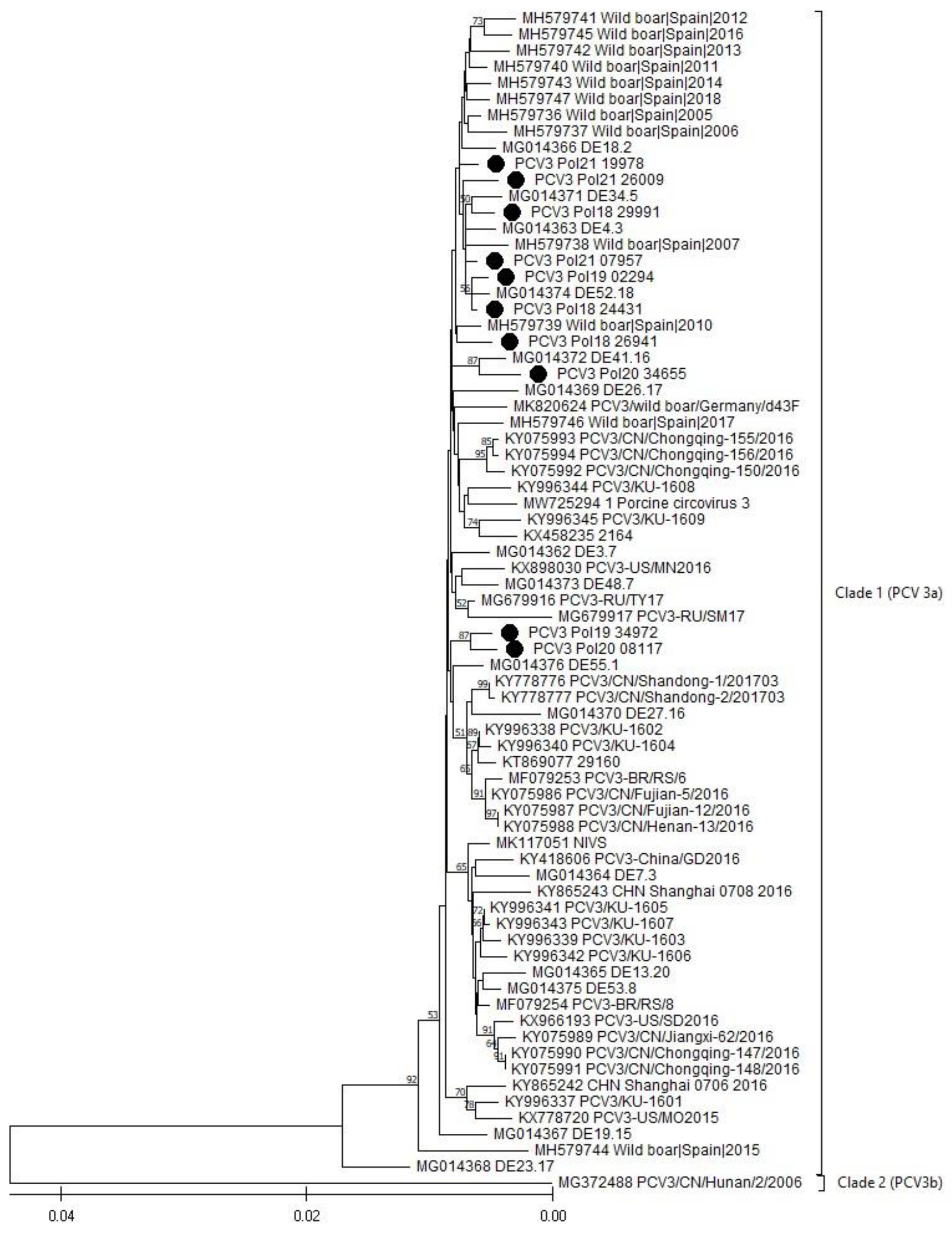Viruses 16 00754 g002