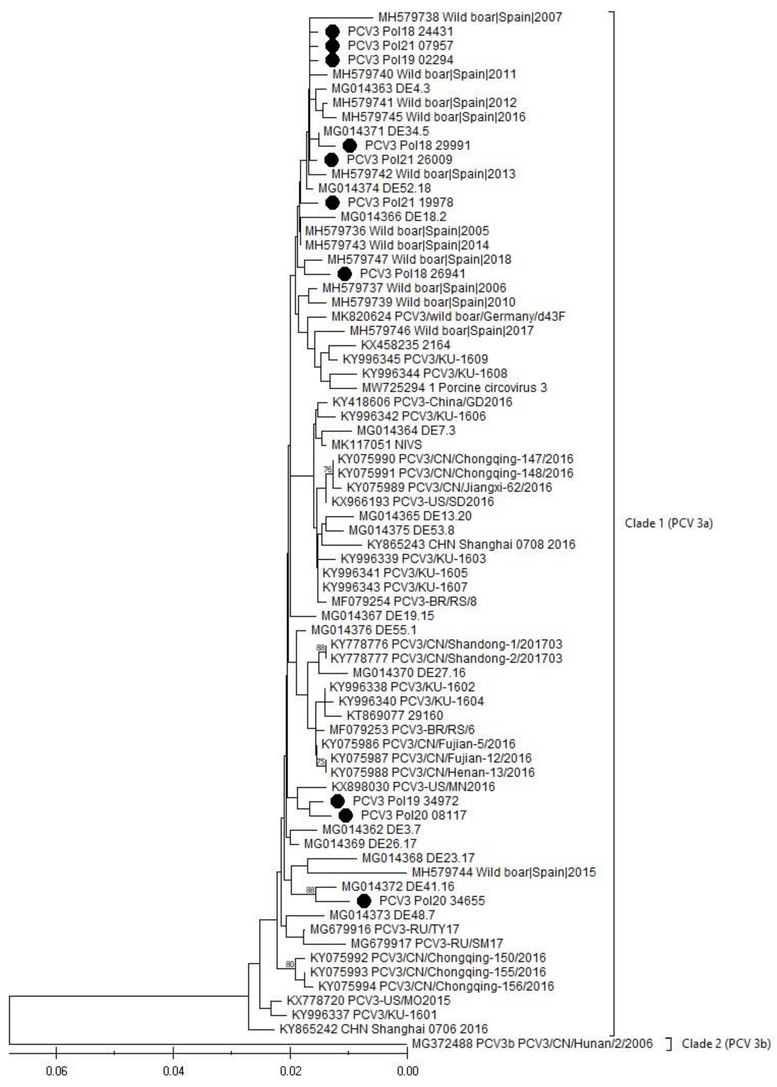 Viruses 16 00754 g003