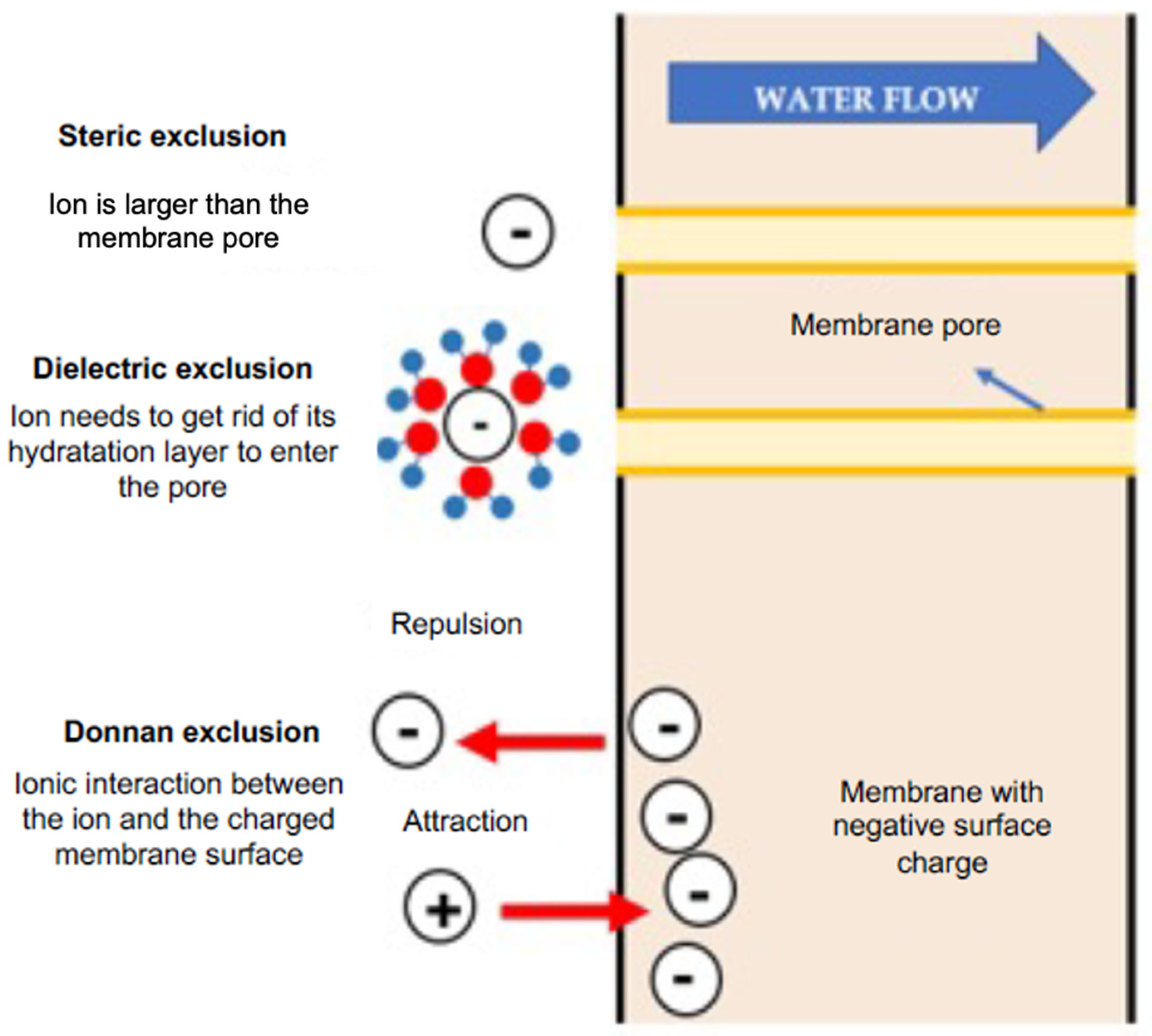 Chemengineering 08 00039 g003 Chemengineering 08 00039 g003