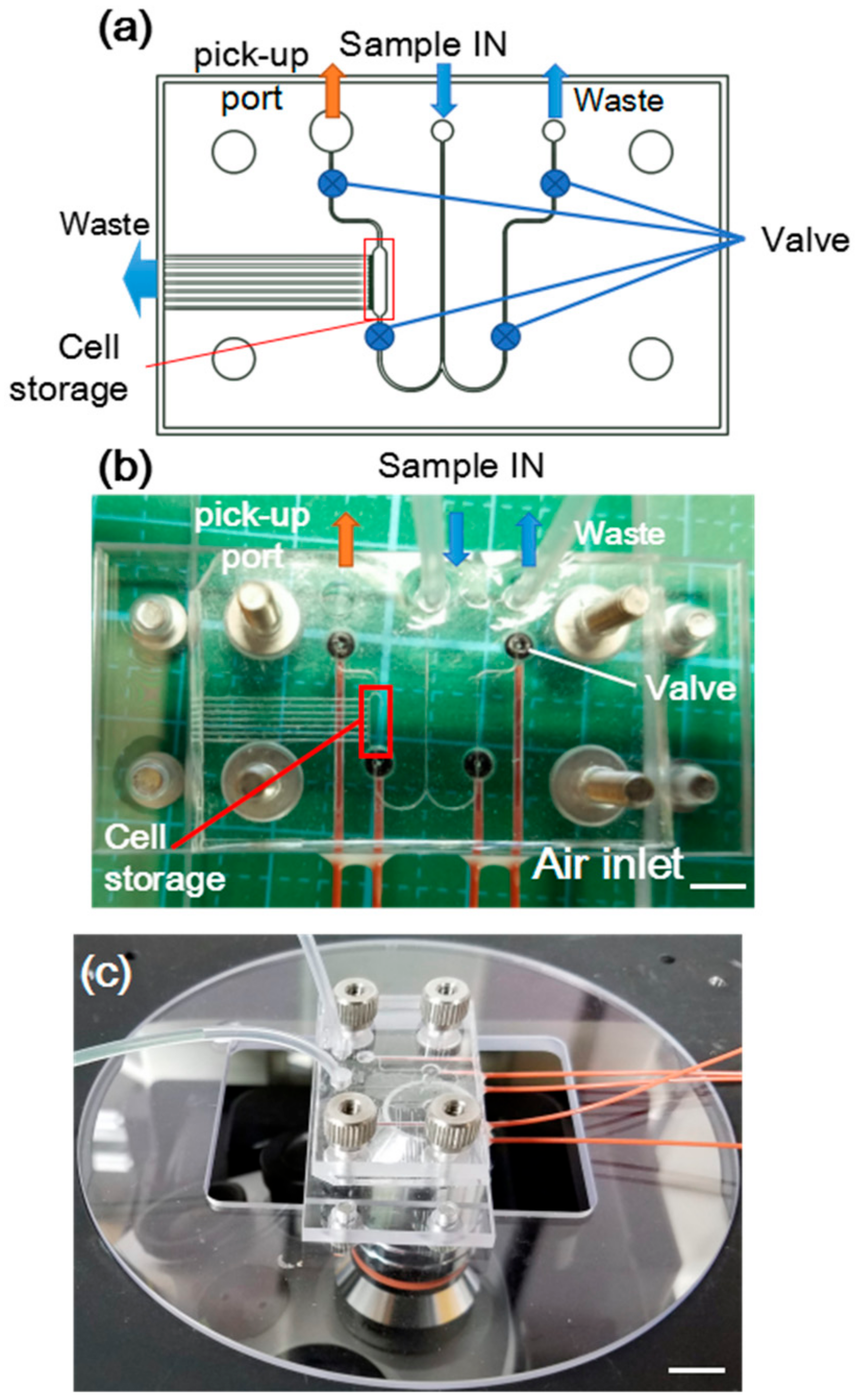 Actuators 07 00068 g005