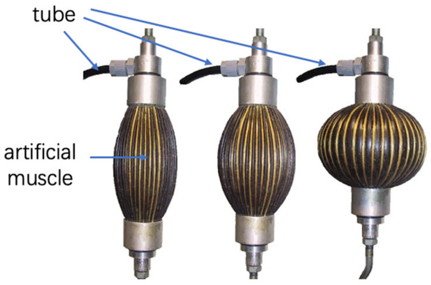 Actuators 11 00092 g003