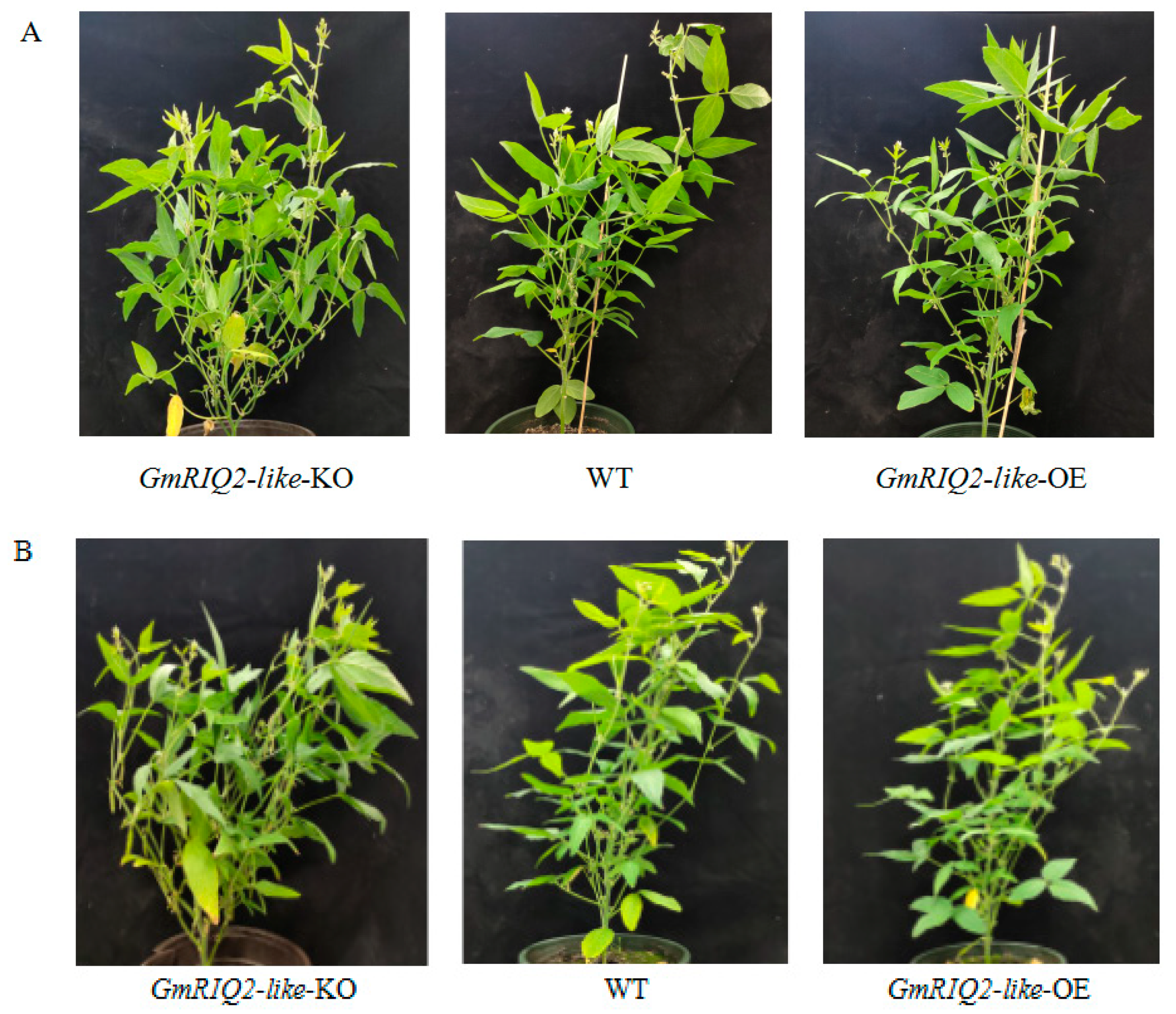 Agriculture 10 00157 g004 Agriculture 10 00157 g004