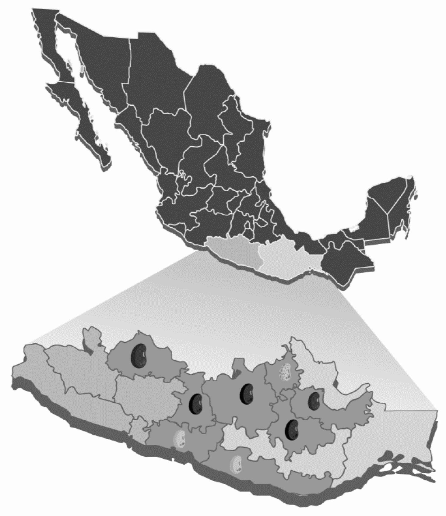 Agriculture 11 01031 g001