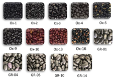 Agriculture 11 01031 i001