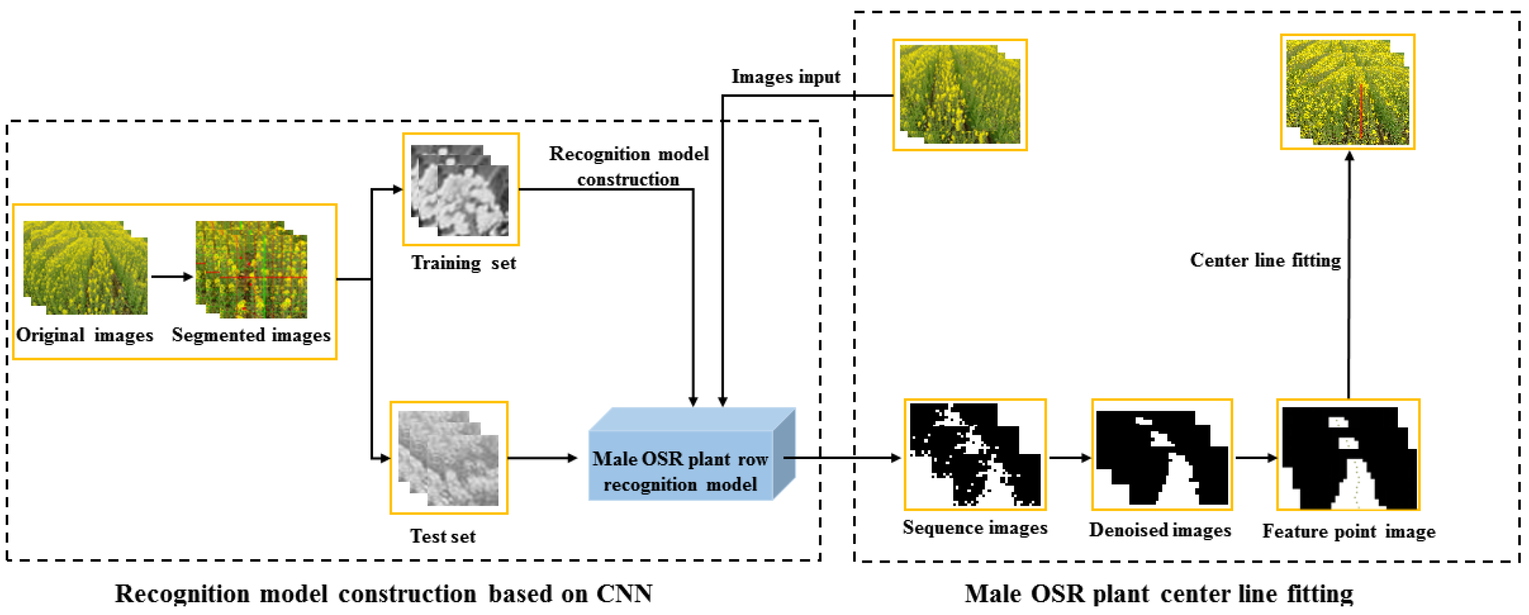 Agriculture 12 00062 g003