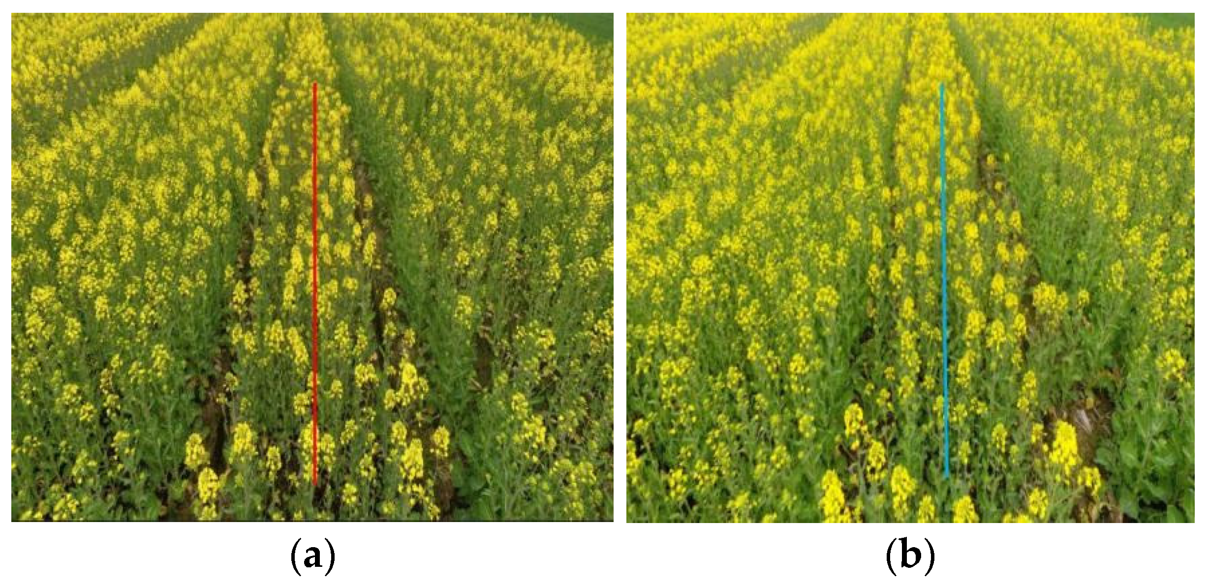 Agriculture 12 00062 g008