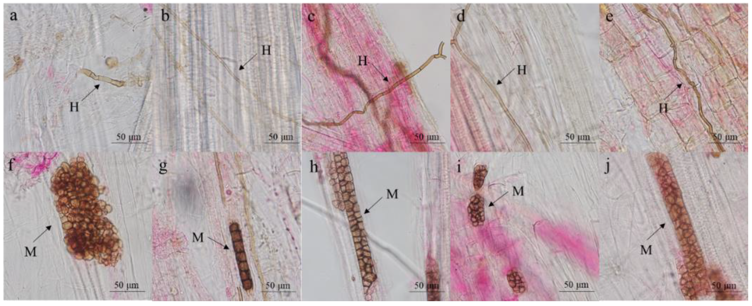 Agriculture 12 01539 g001