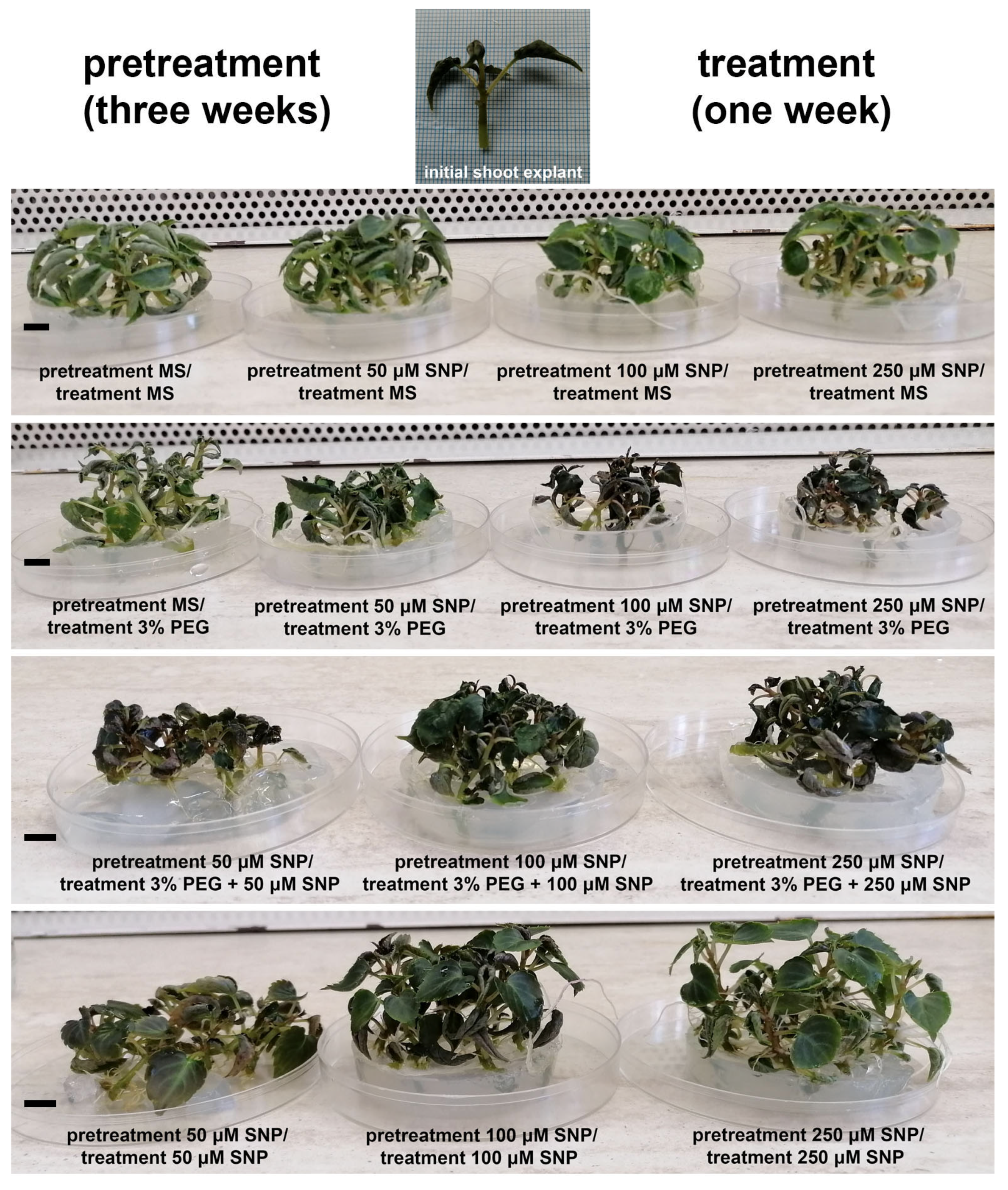 Agriculture 13 01903 g002