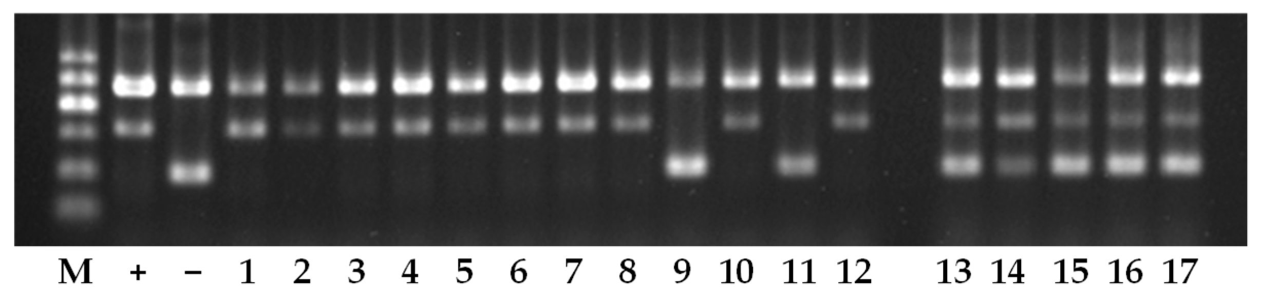 Agriculture 13 01926 g004