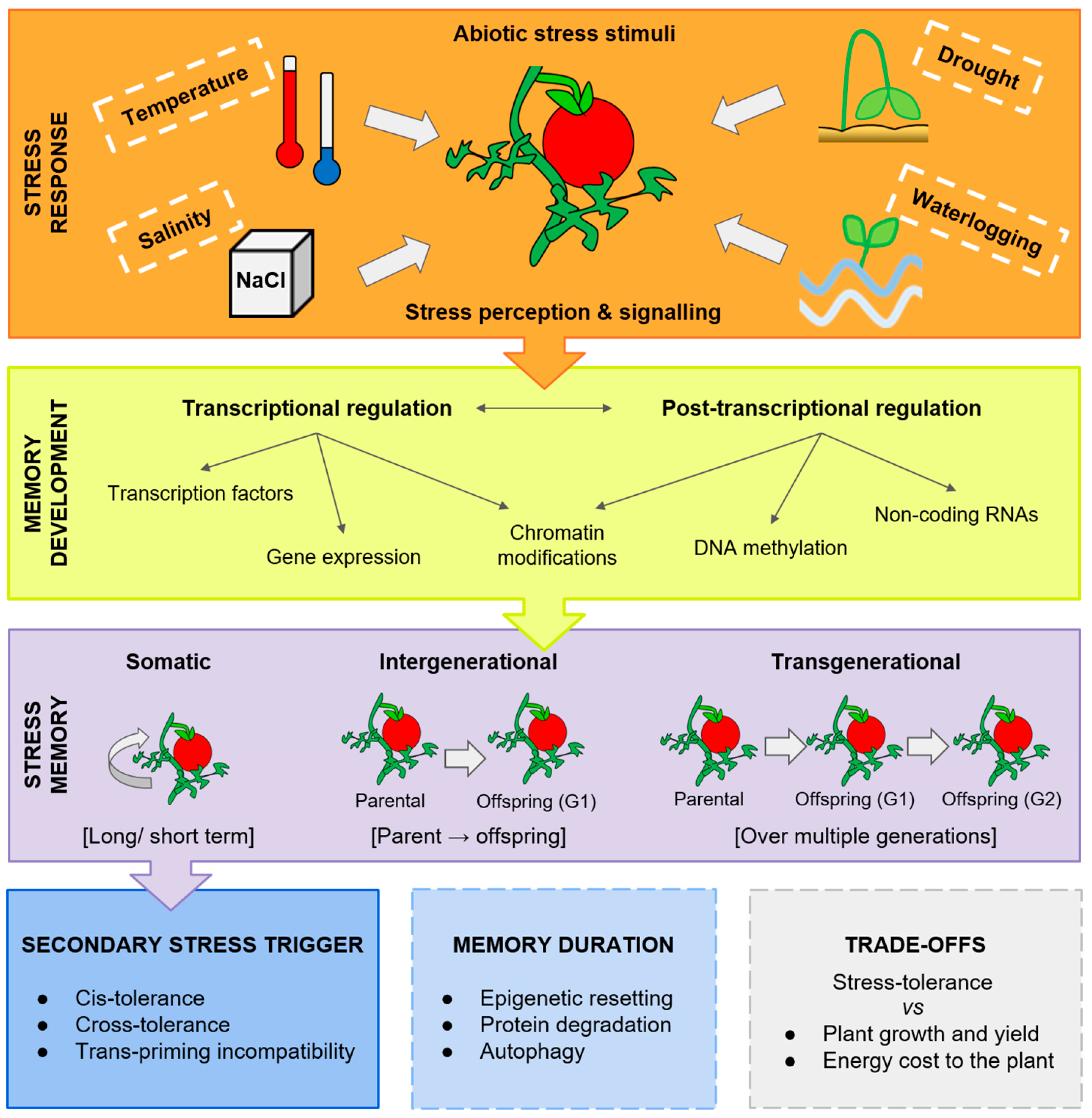 Agriculture 13 02090 g002