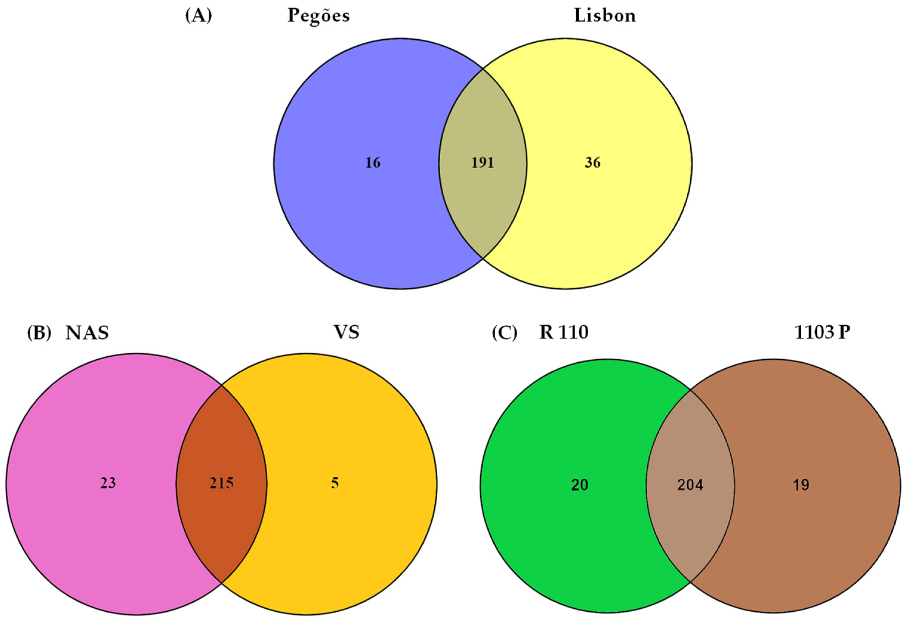Agriculture 13 02163 g002