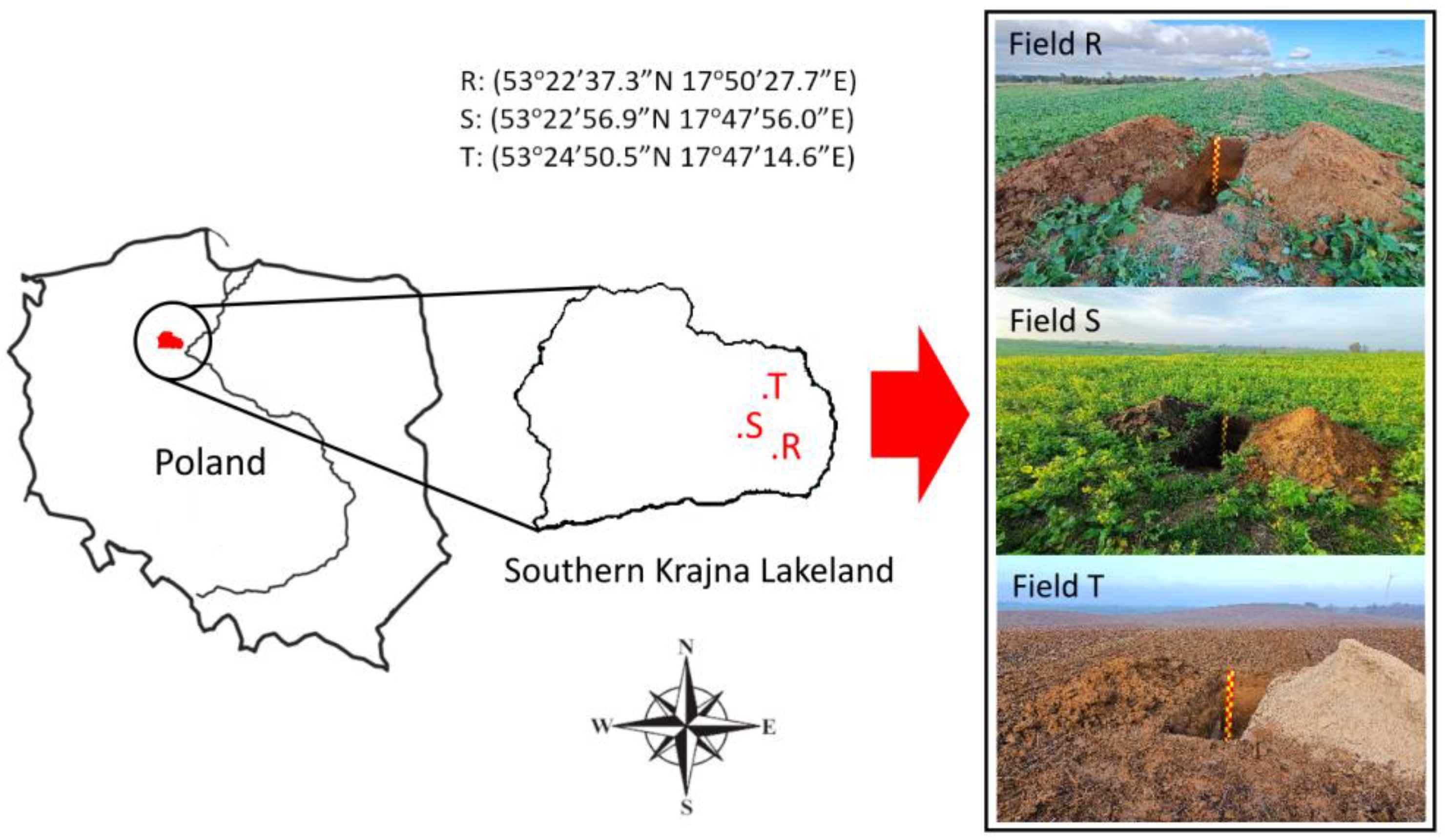 Agriculture 13 02247 g001