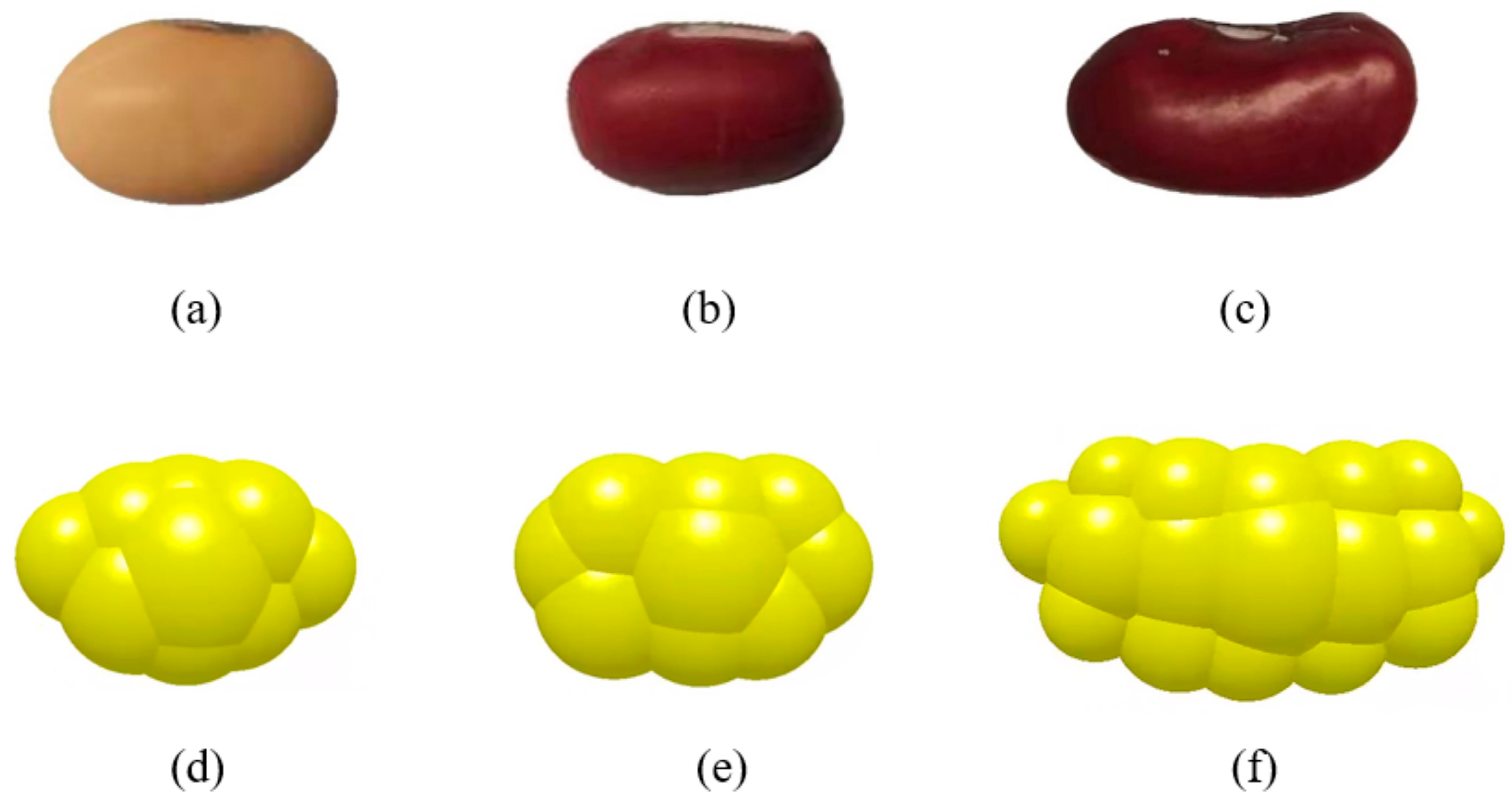 Agriculture 14 00376 g003
