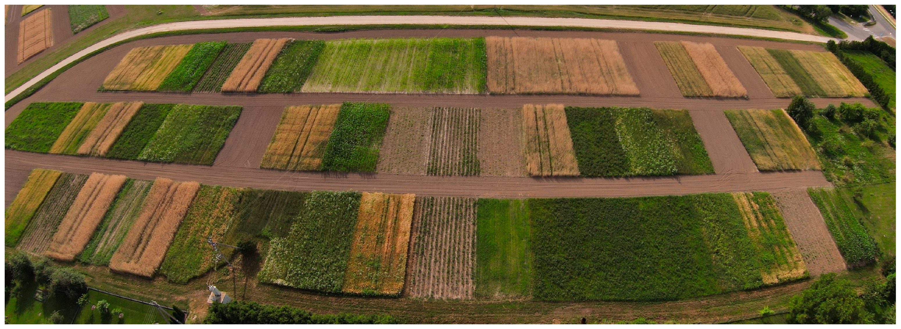 Agriculture 14 00483 g001