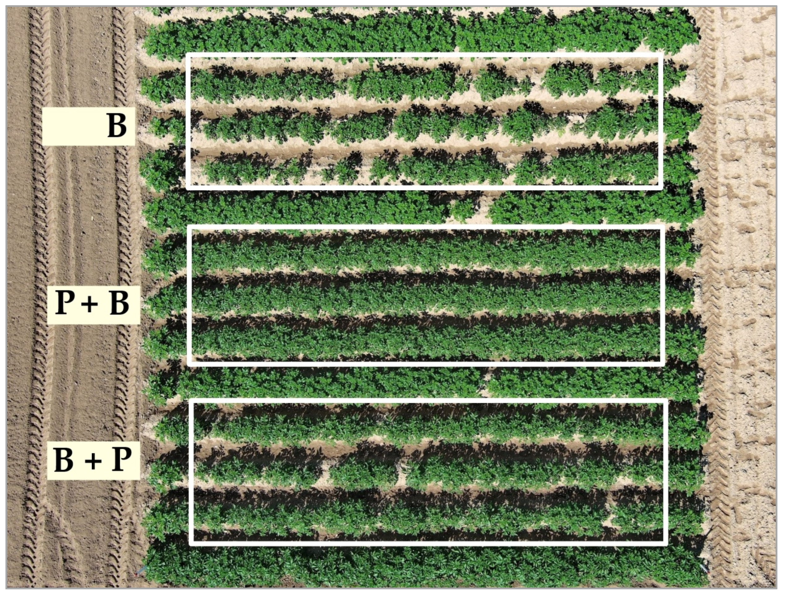 Agriculture 14 00497 g006
