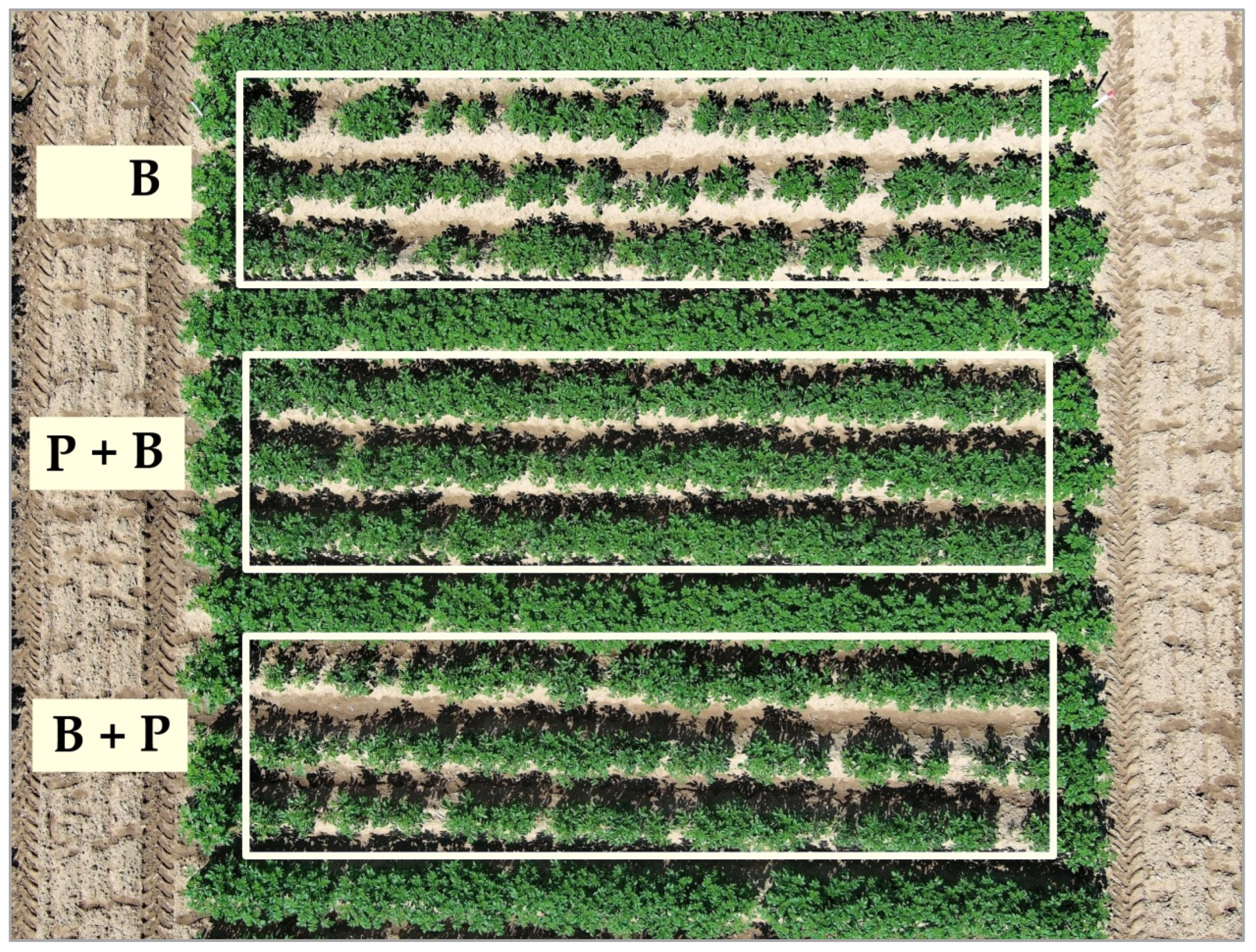 Agriculture 14 00497 g007