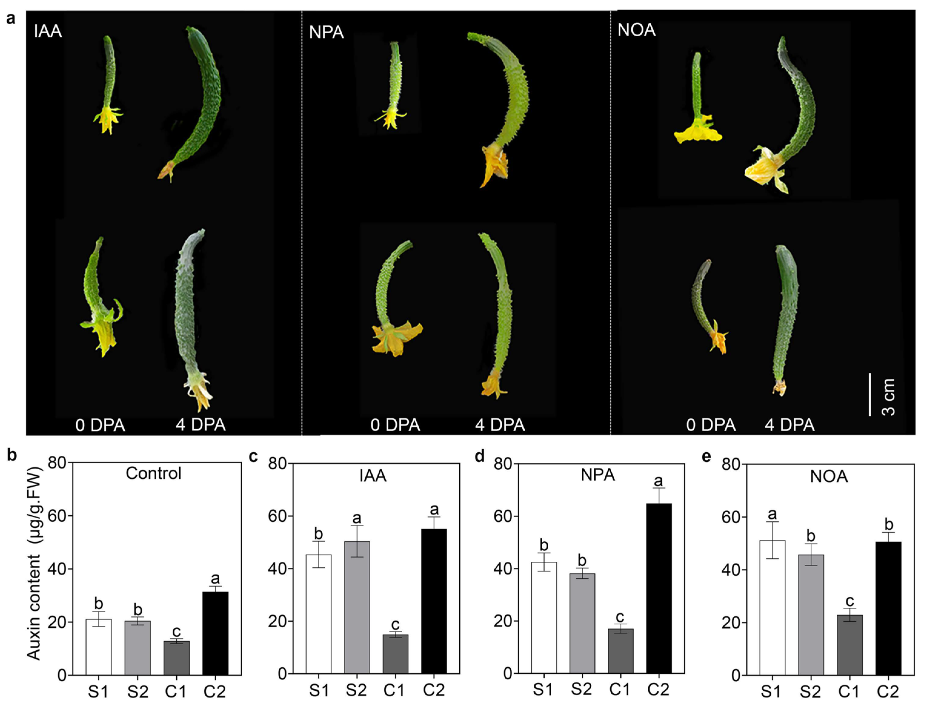 Agriculture 14 00657 g001