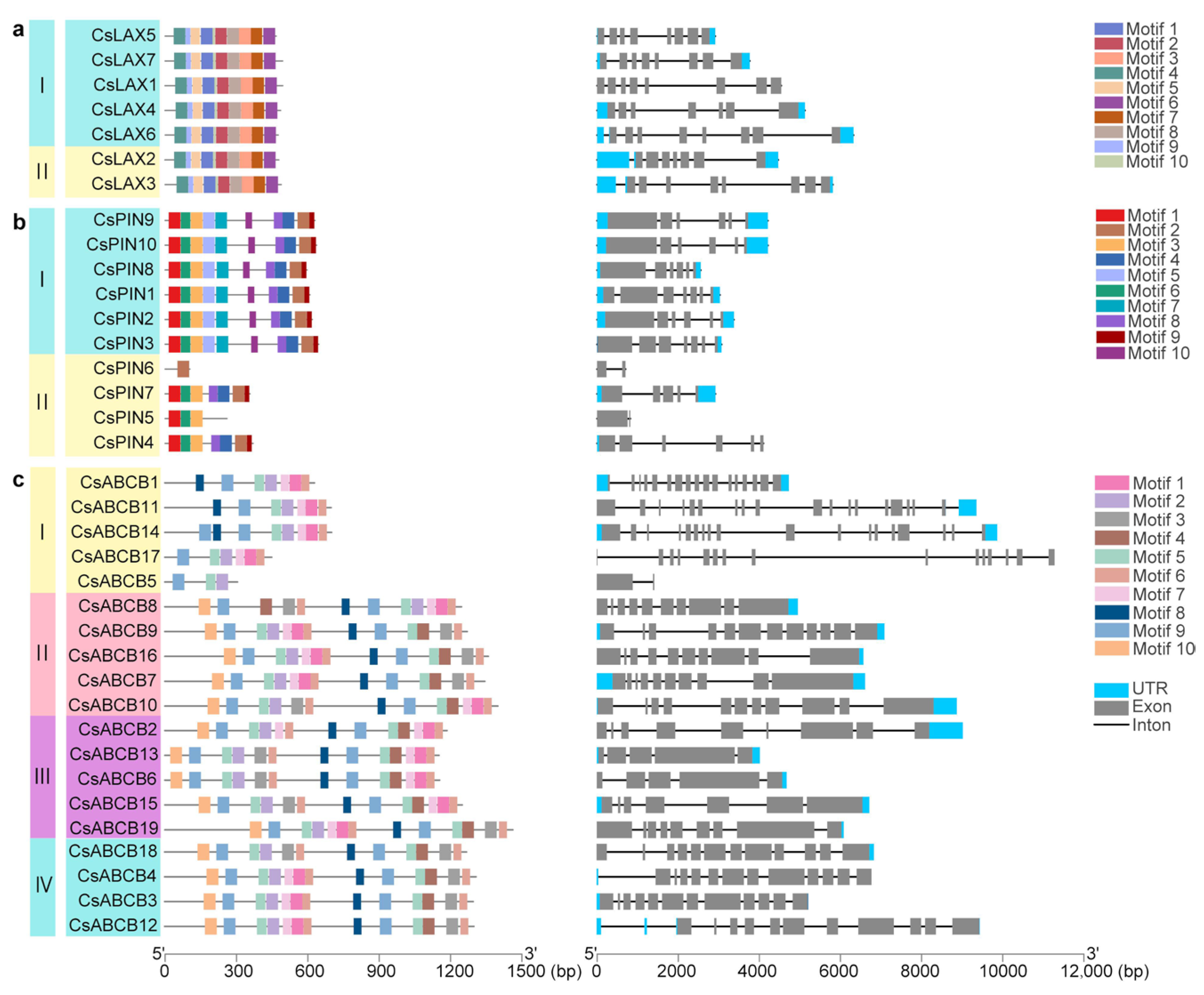 Agriculture 14 00657 g004