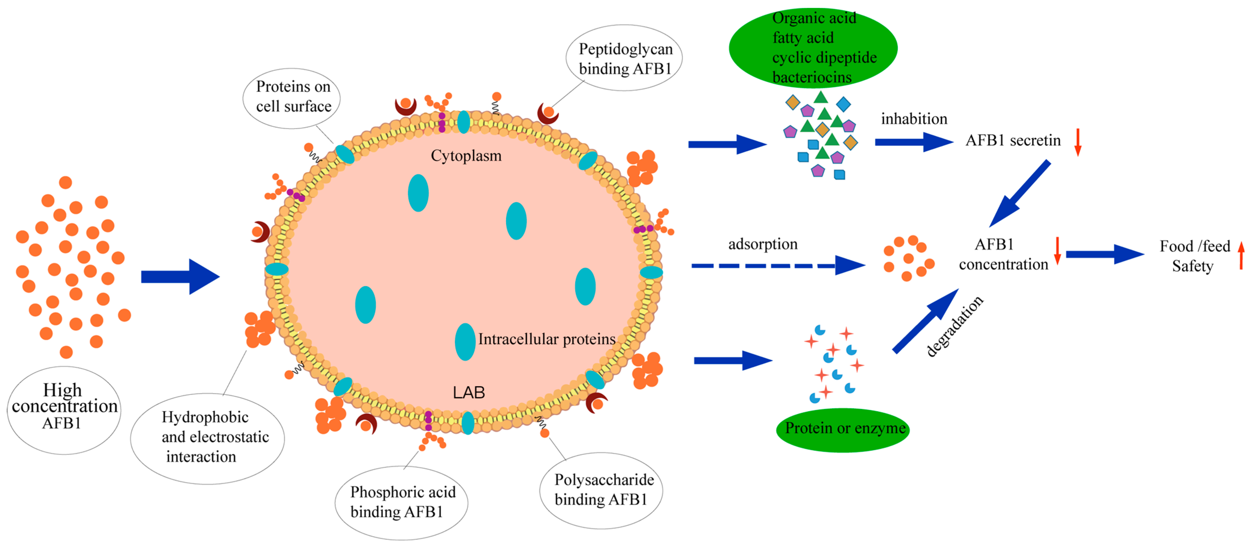 Agriculture 14 00698 g004