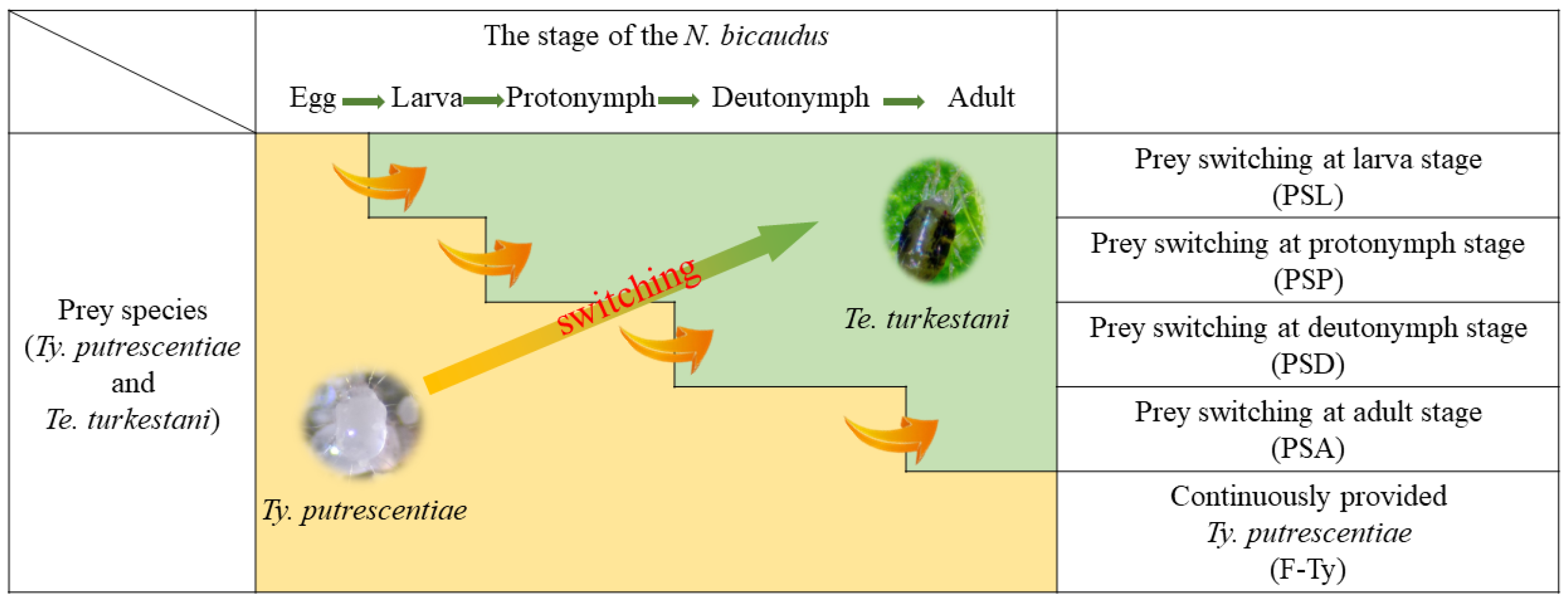 Agriculture 14 00728 g001