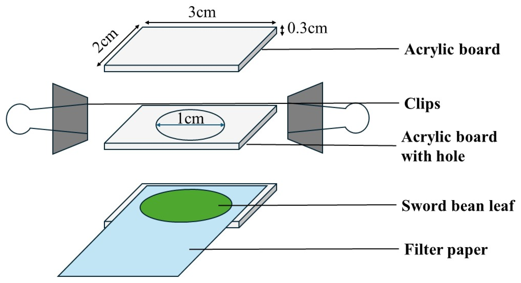 Agriculture 14 00728 g002
