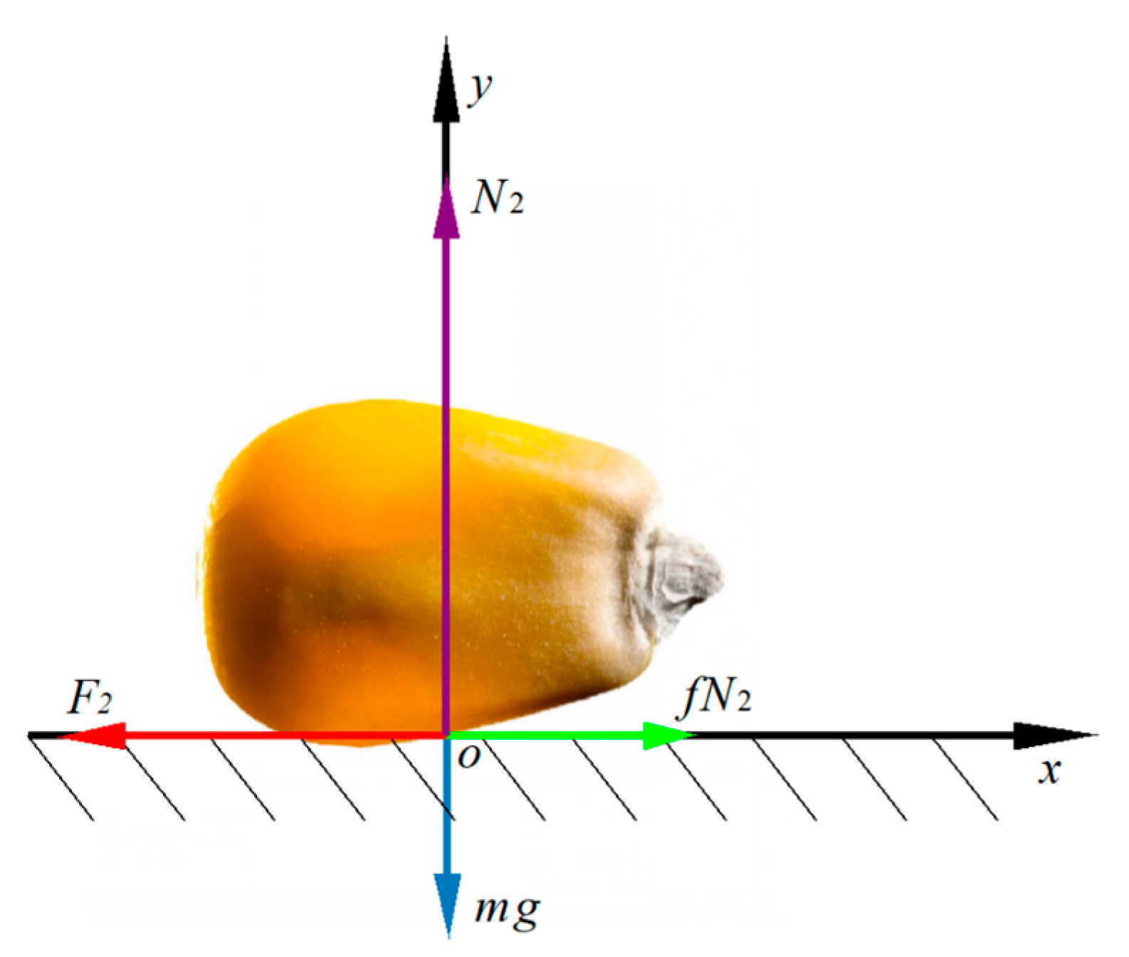Agriculture 14 00731 g004