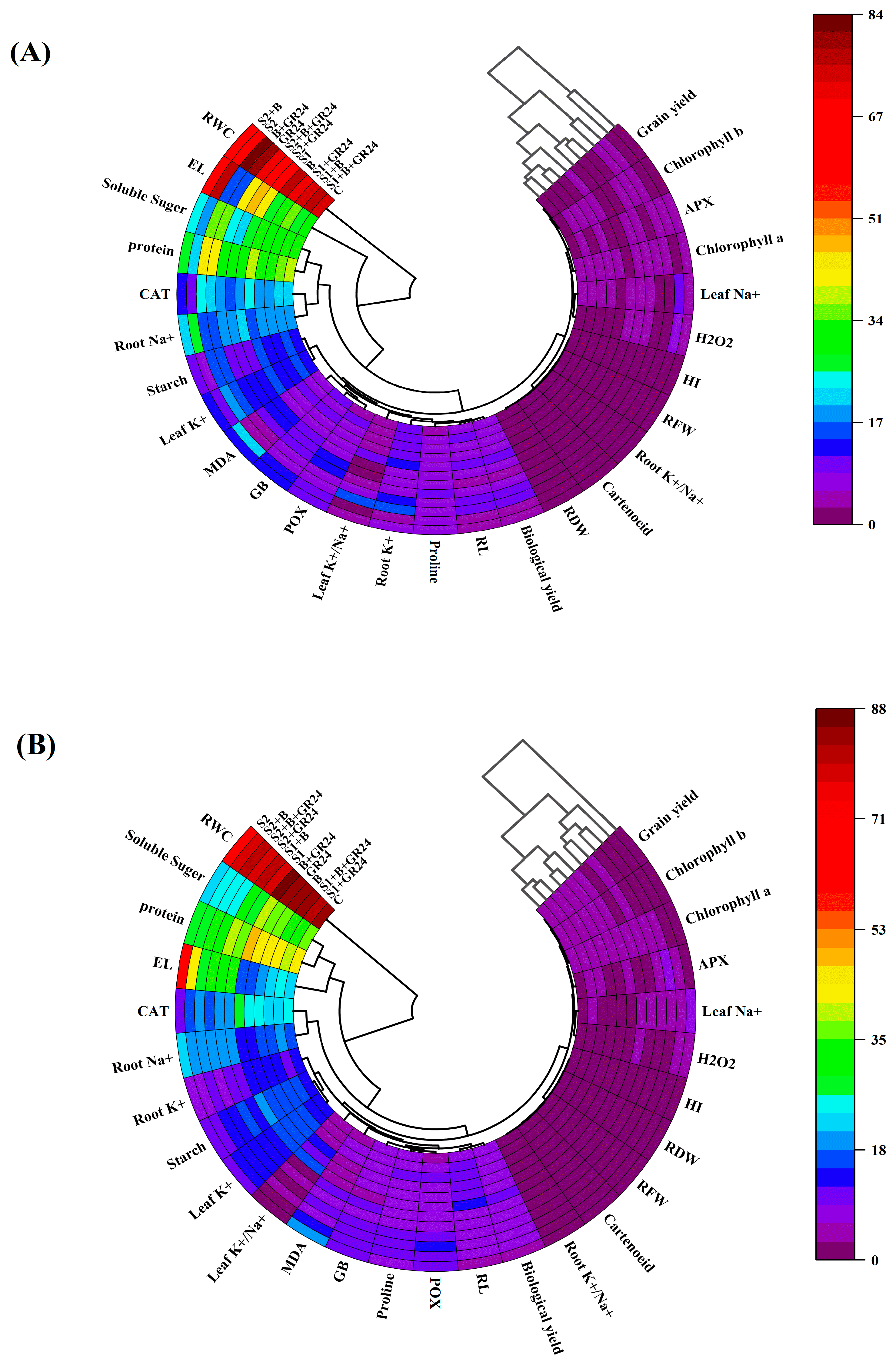 Agriculture 14 00732 g007
