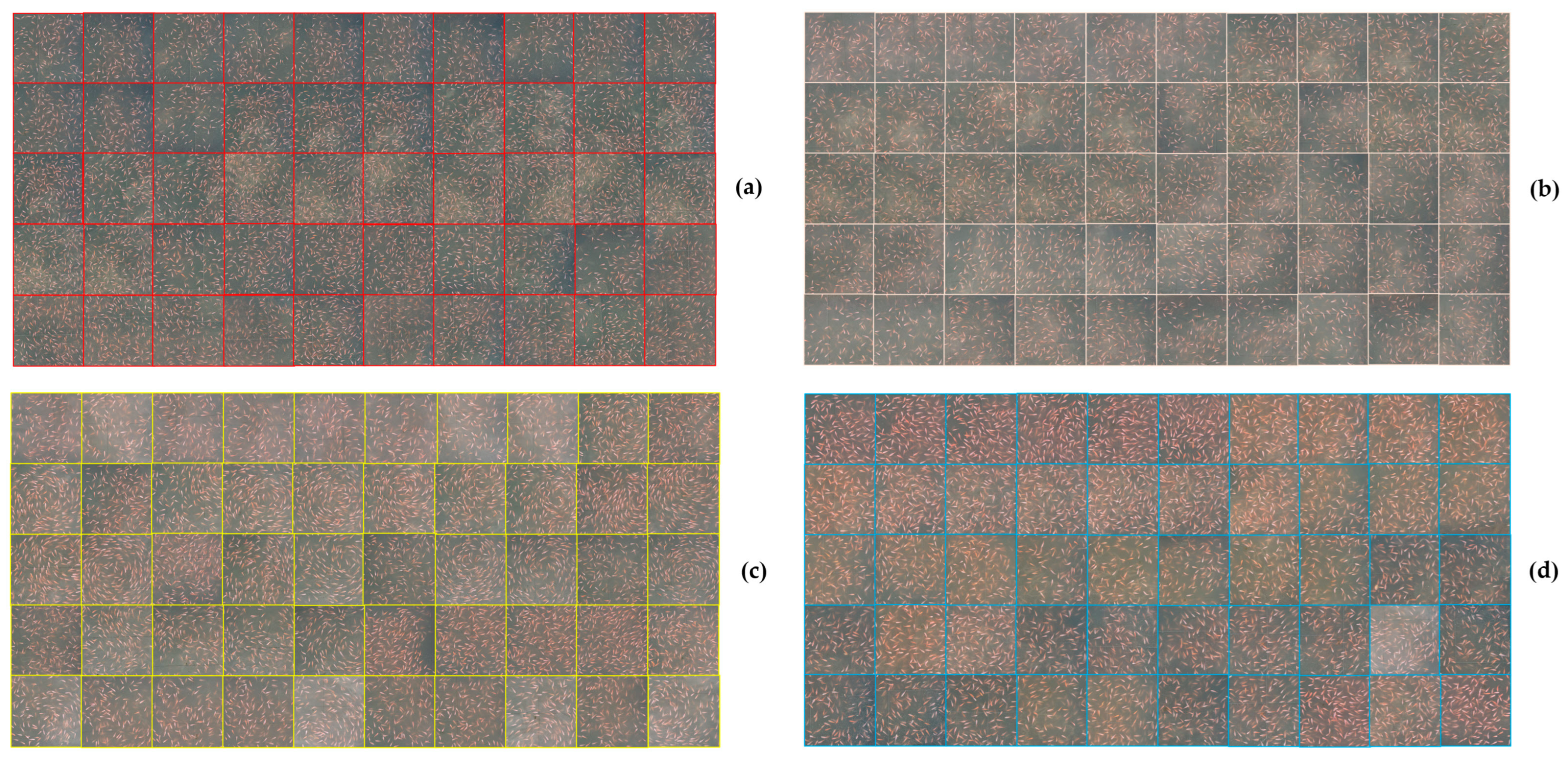 Agriengineering 06 00070 g005a