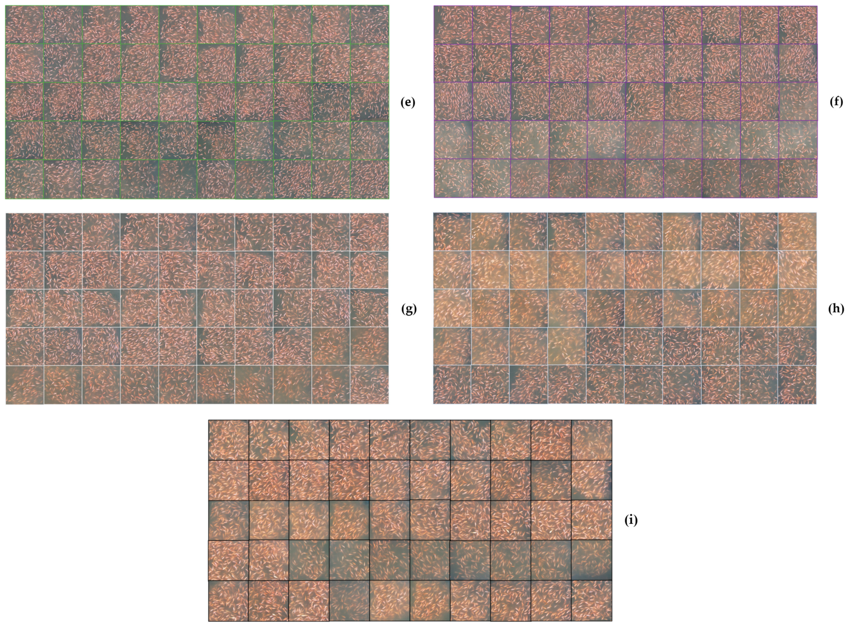 Agriengineering 06 00070 g005b