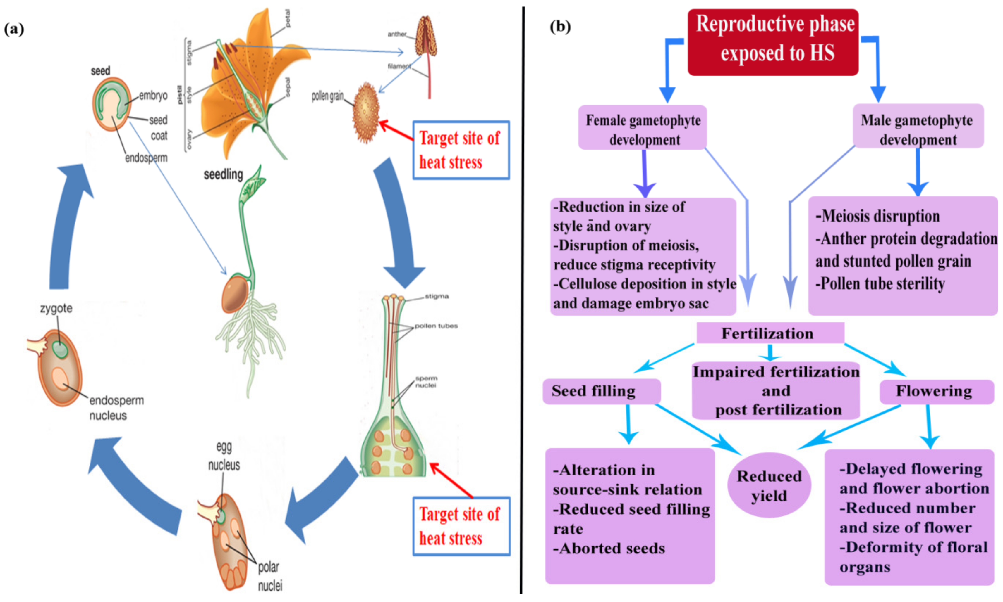 Agronomy 08 00128 g002