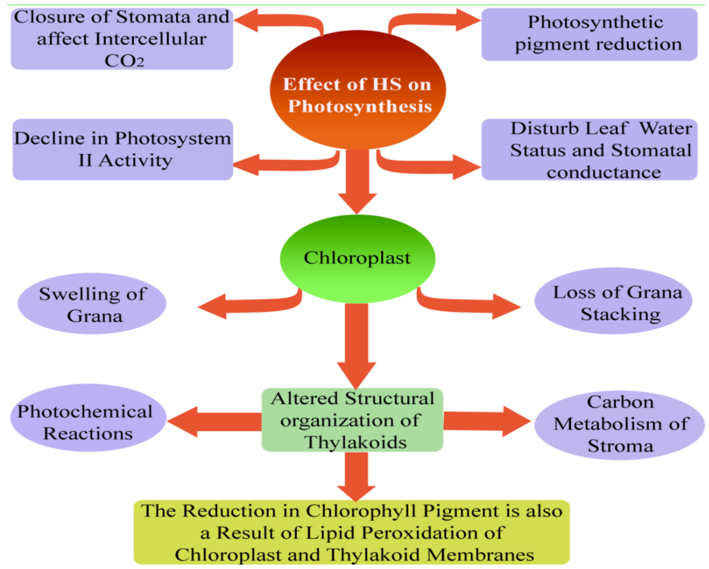 Agronomy 08 00128 g003