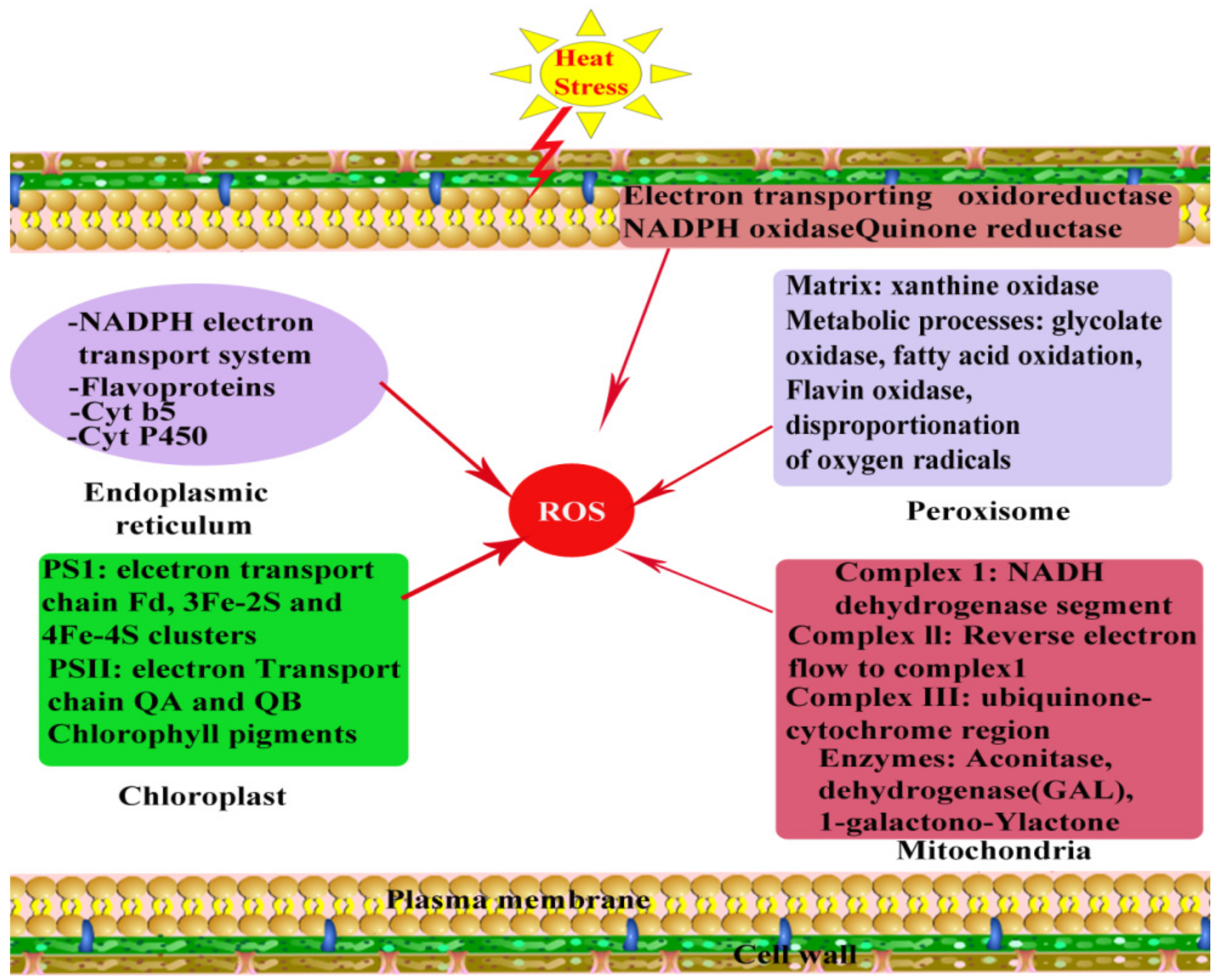 Agronomy 08 00128 g004