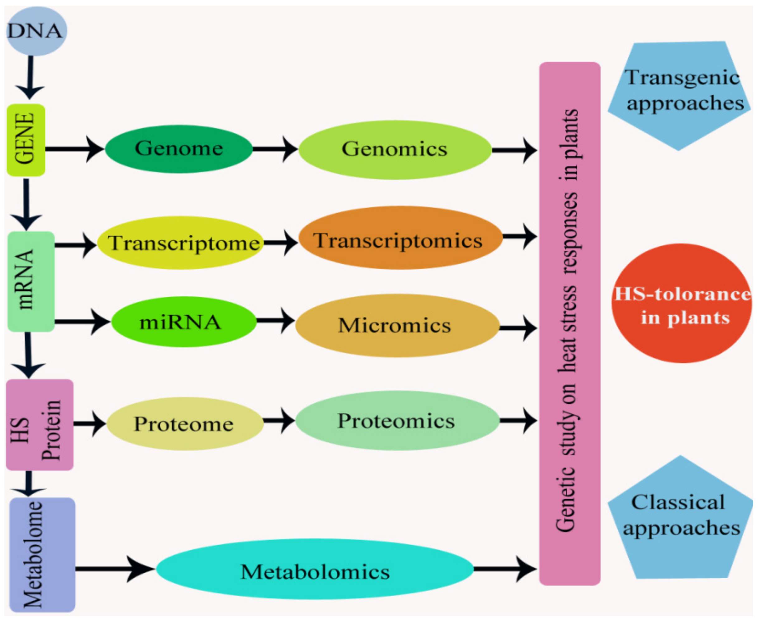 Agronomy 08 00128 g008