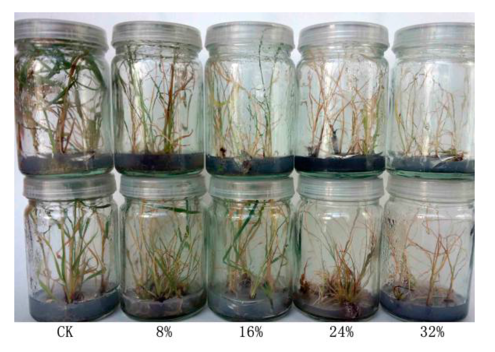 Agronomy 08 00226 g003