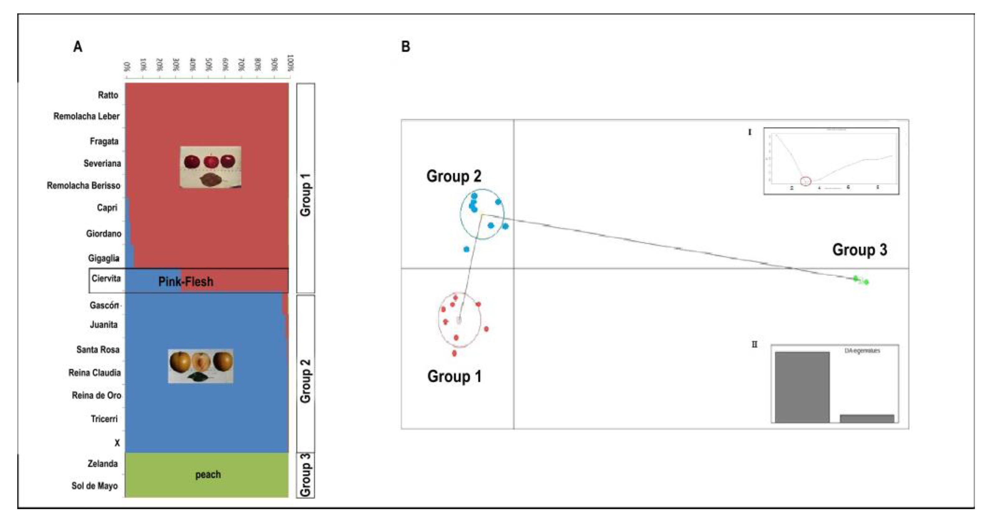 Agronomy 09 00487 g002