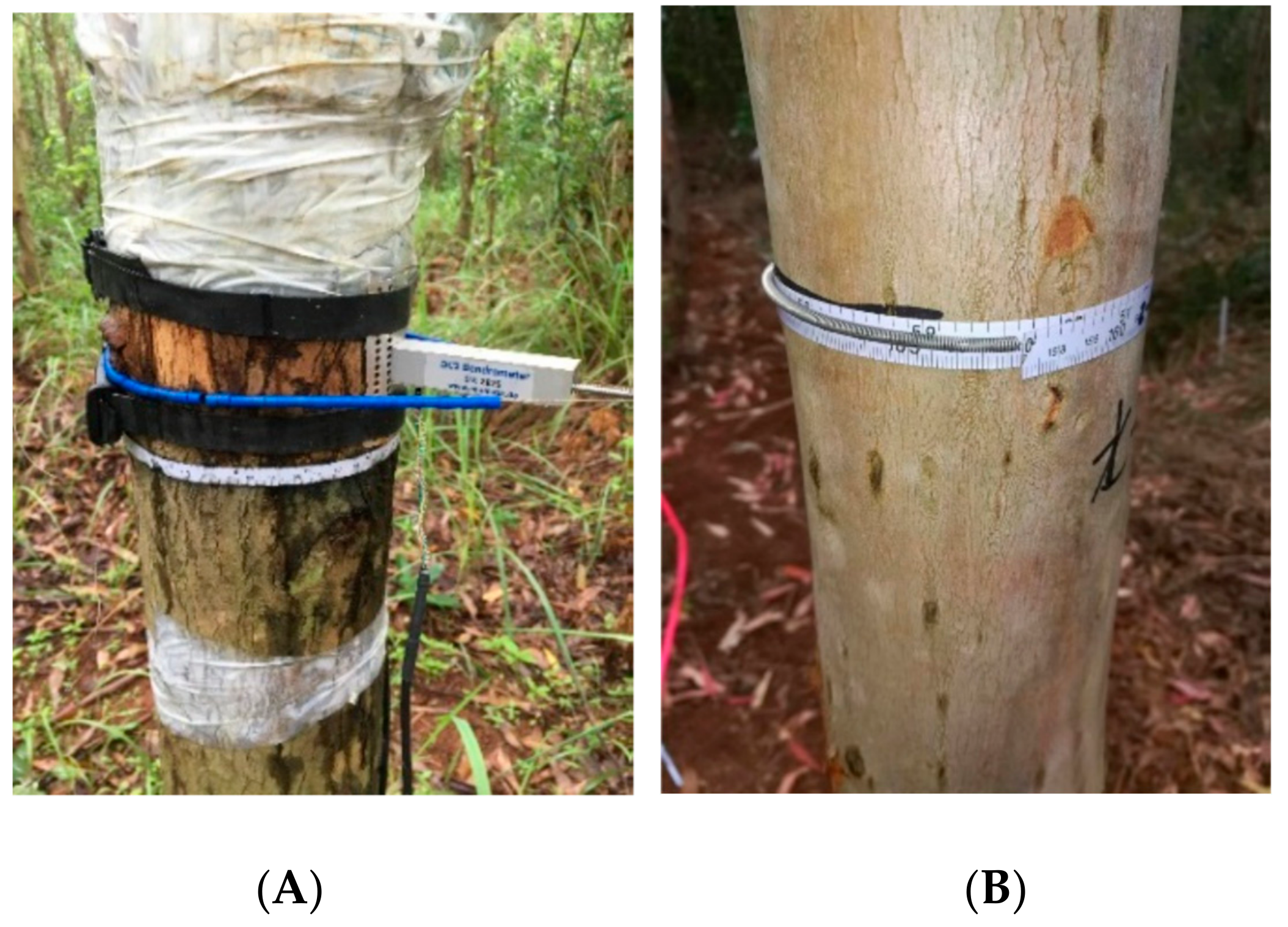 Agronomy 09 00590 g003