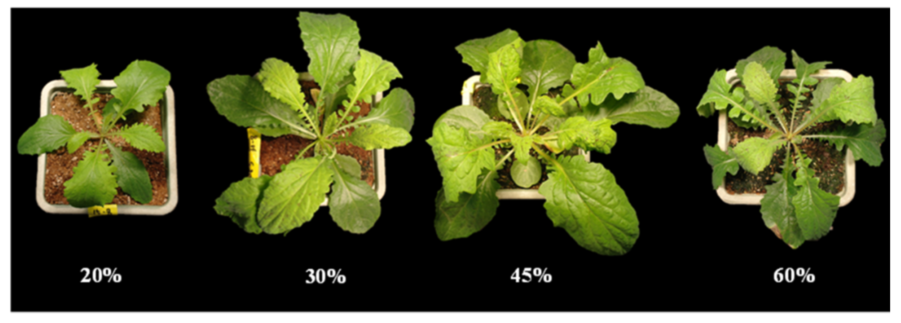 Agronomy 10 00388 g003 Agronomy 10 00388 g003