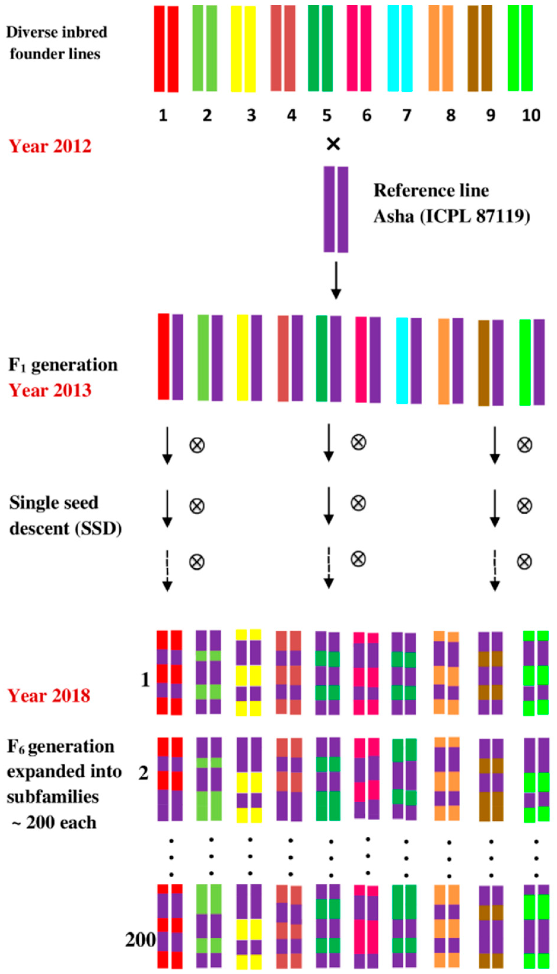 Agronomy 10 01289 g002