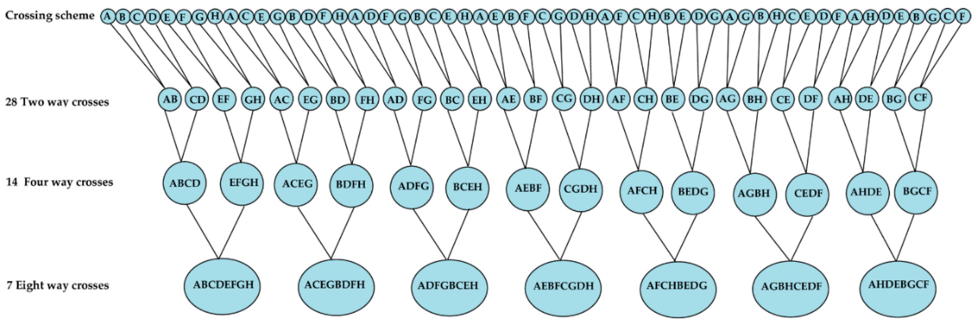 Agronomy 10 01289 g004