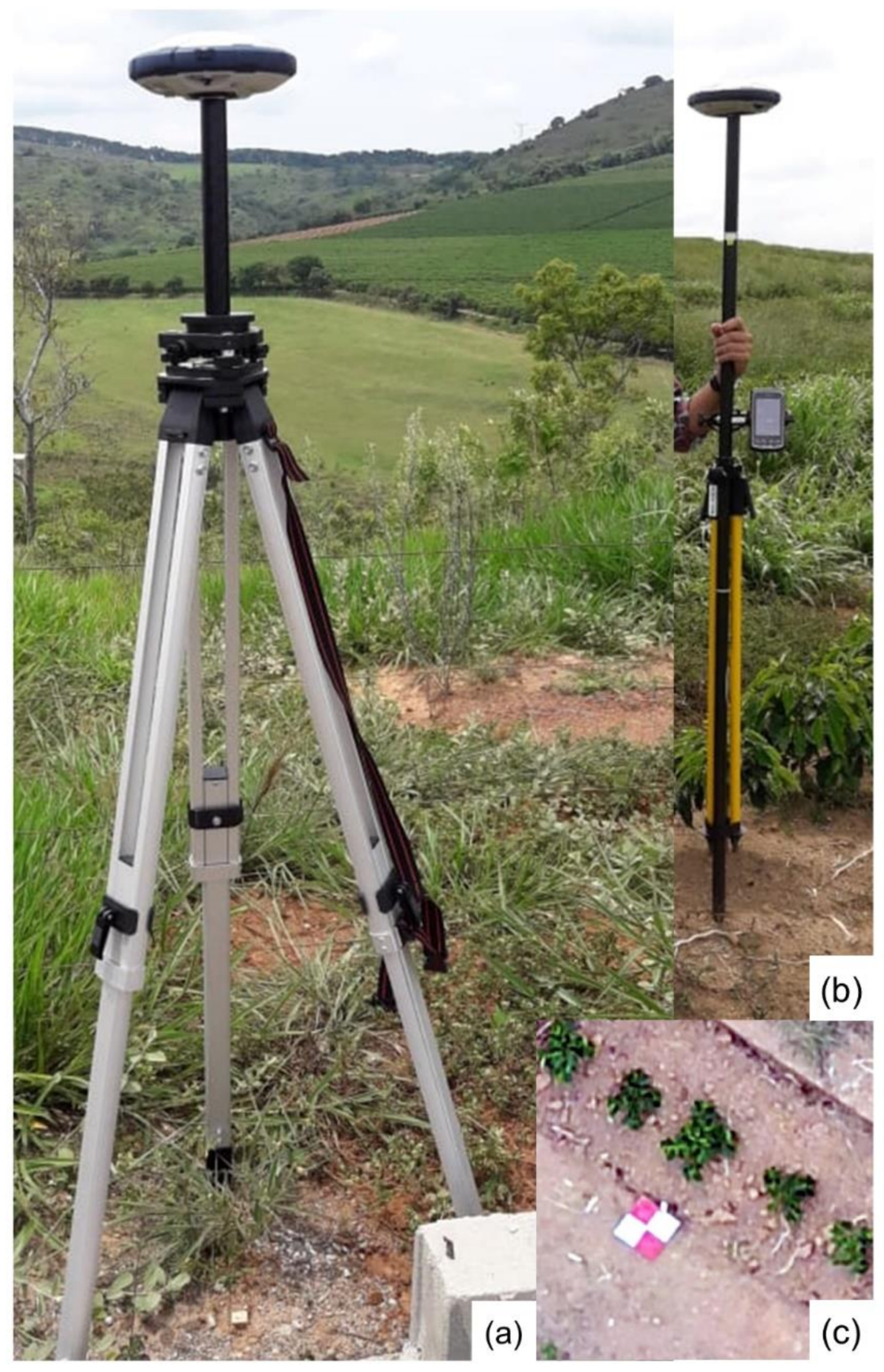 Agronomy 11 01224 g004