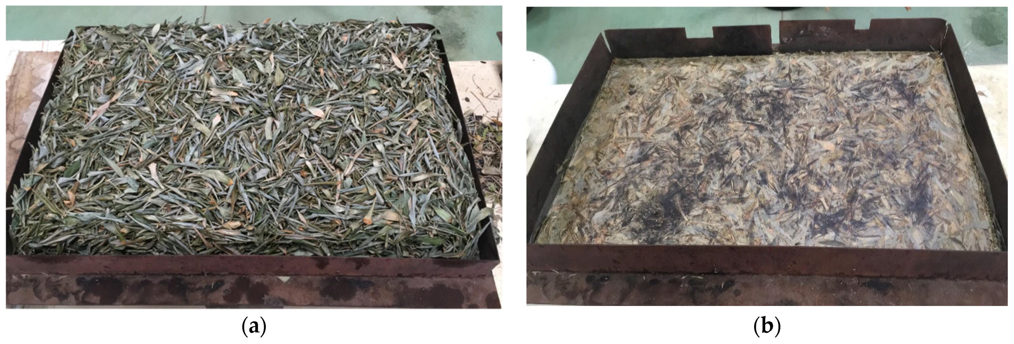 Agronomy 12 00093 g002