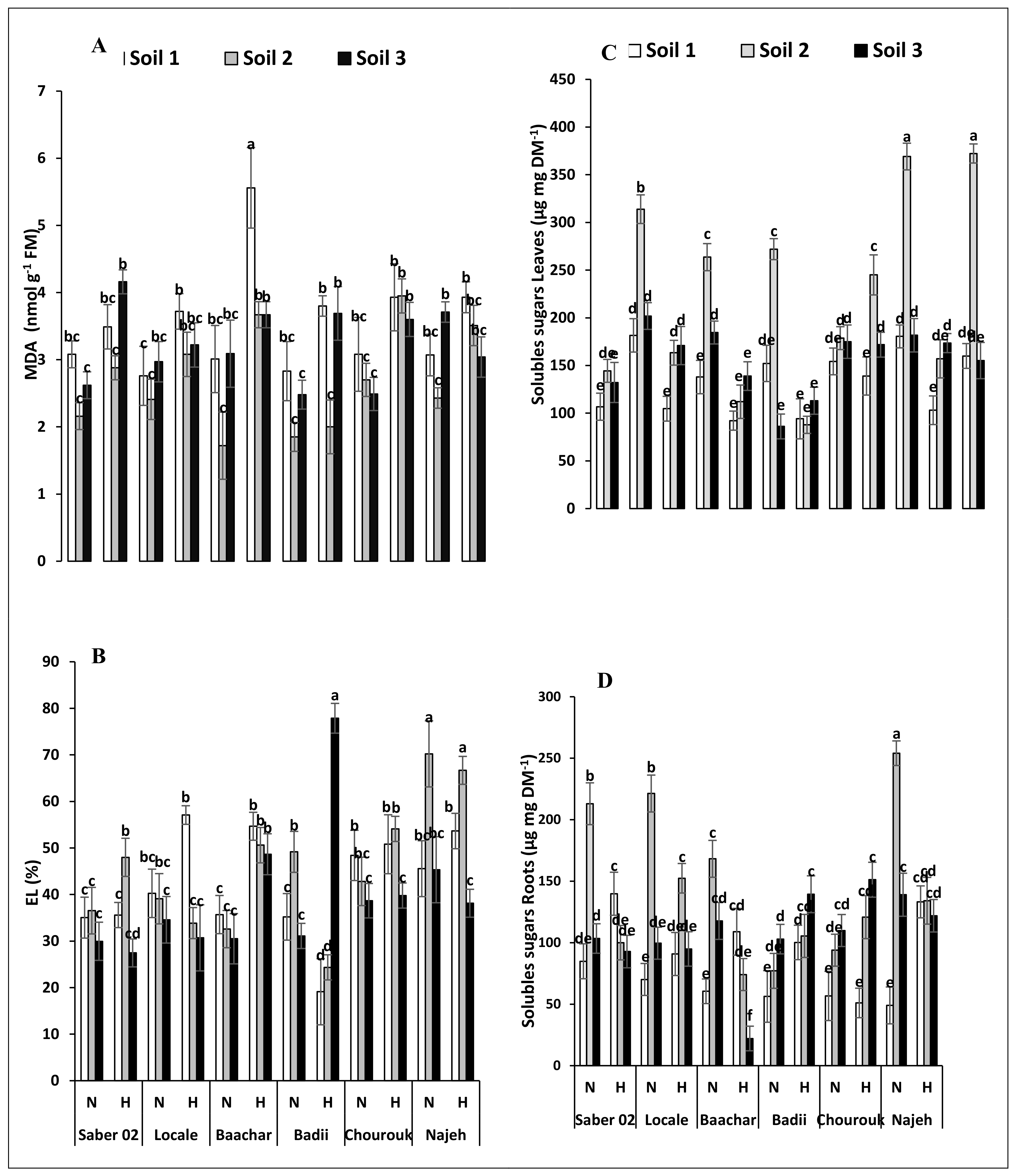 Agronomy 12 00606 g001