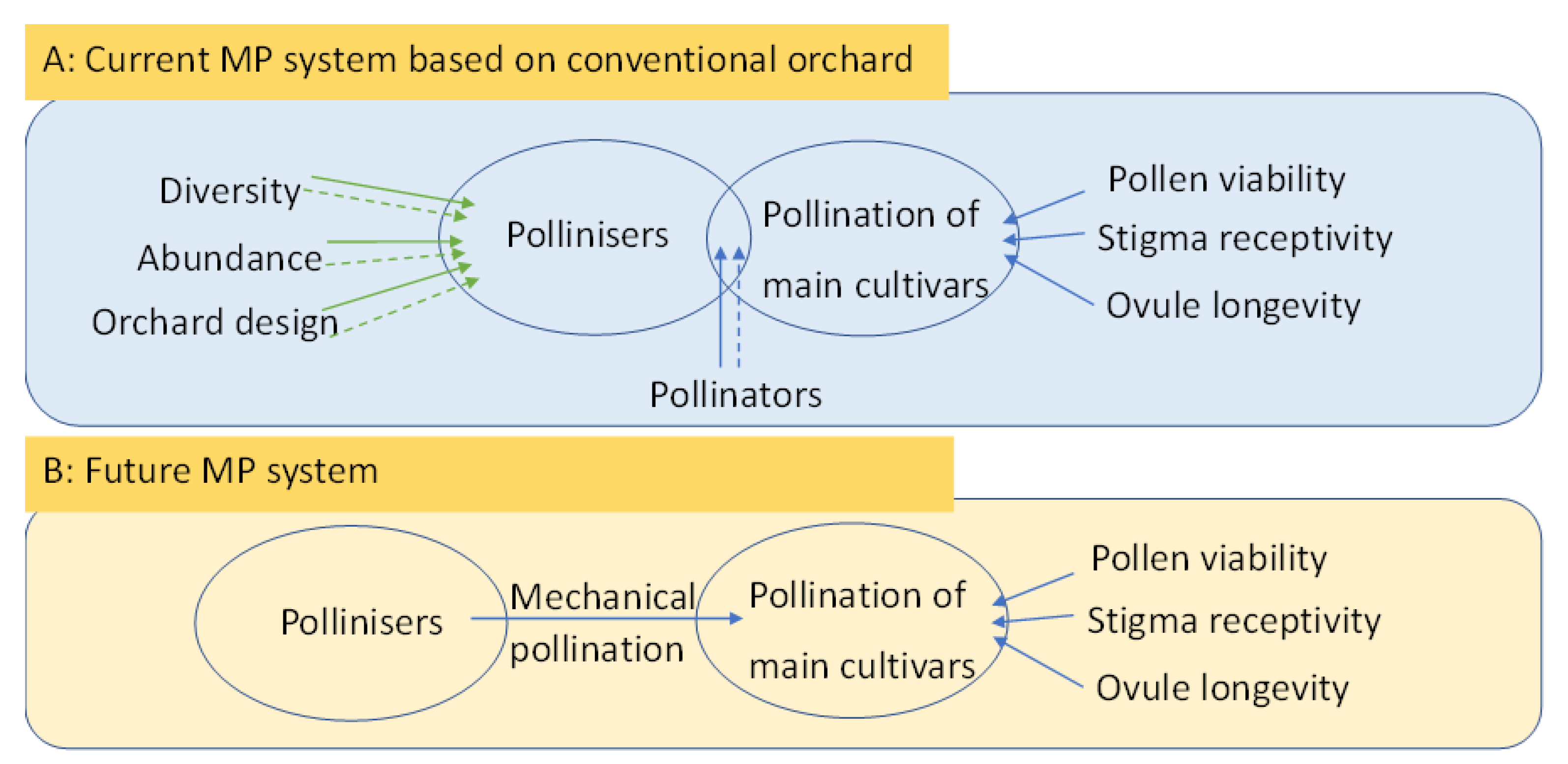 Agronomy 12 01113 g001