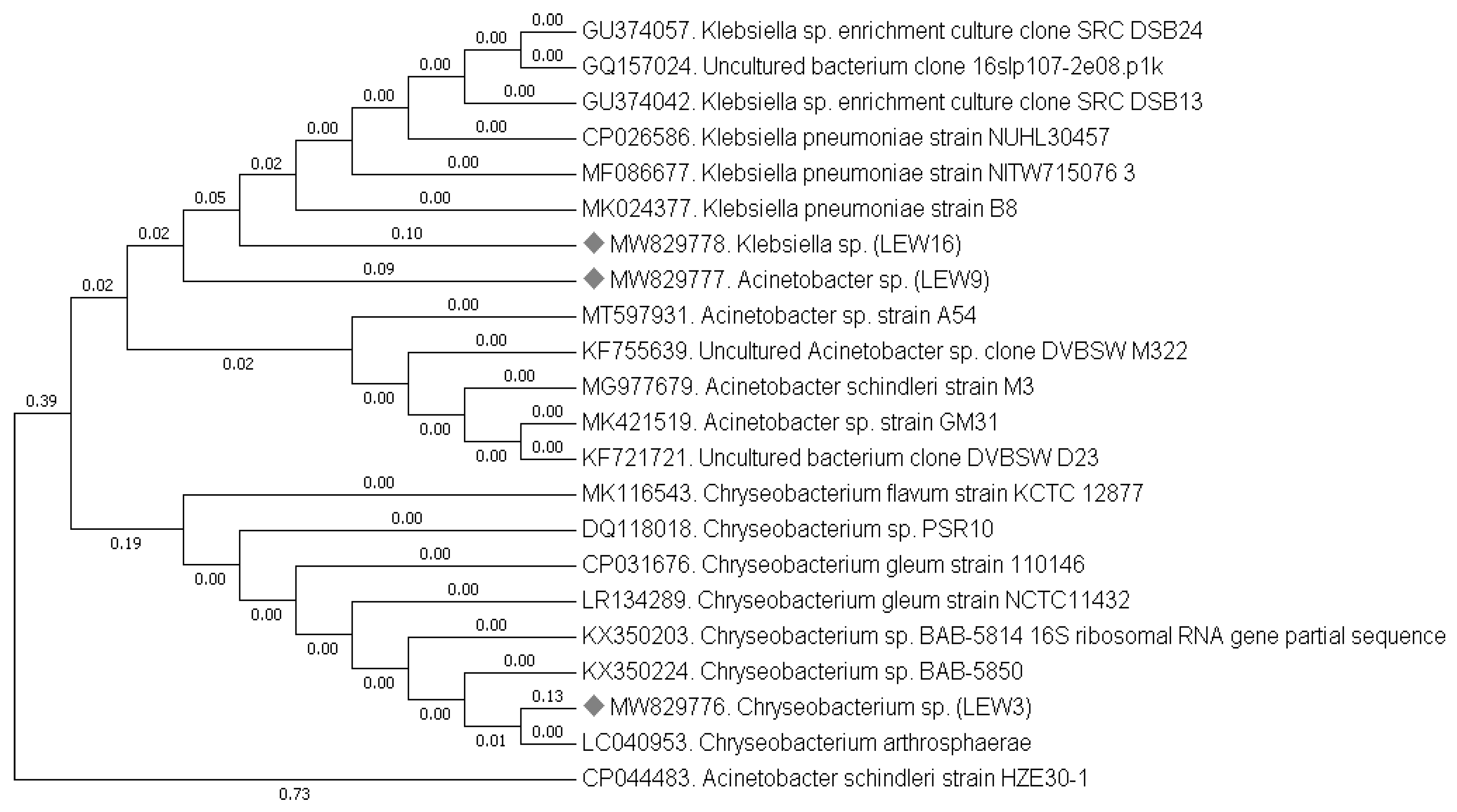 Agronomy 12 01140 g005