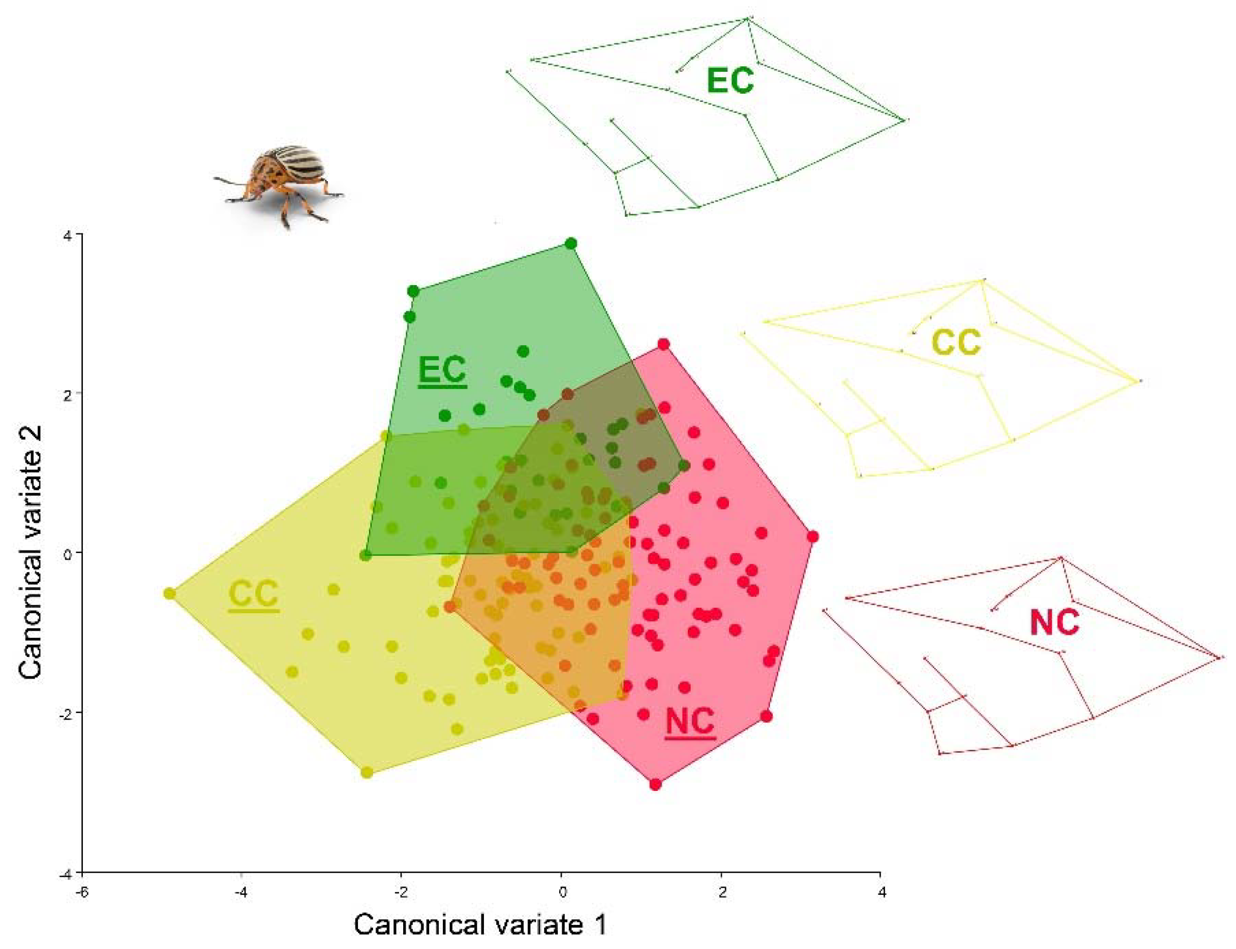 Agronomy 12 02361 g008 Agronomy 12 02361 g008