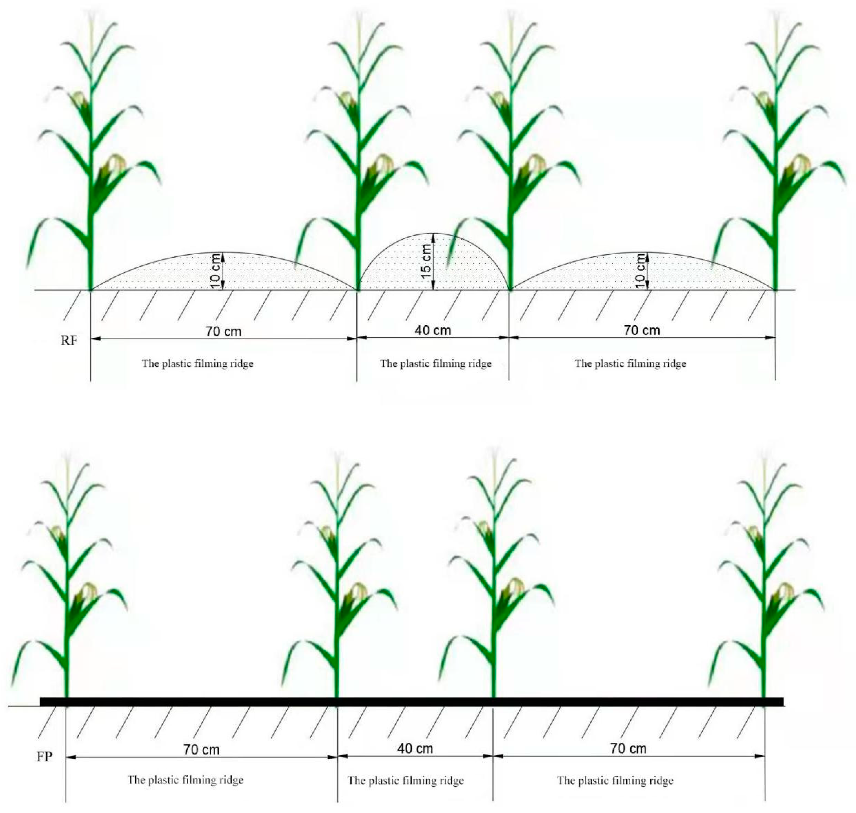 Agronomy 12 02943 g002