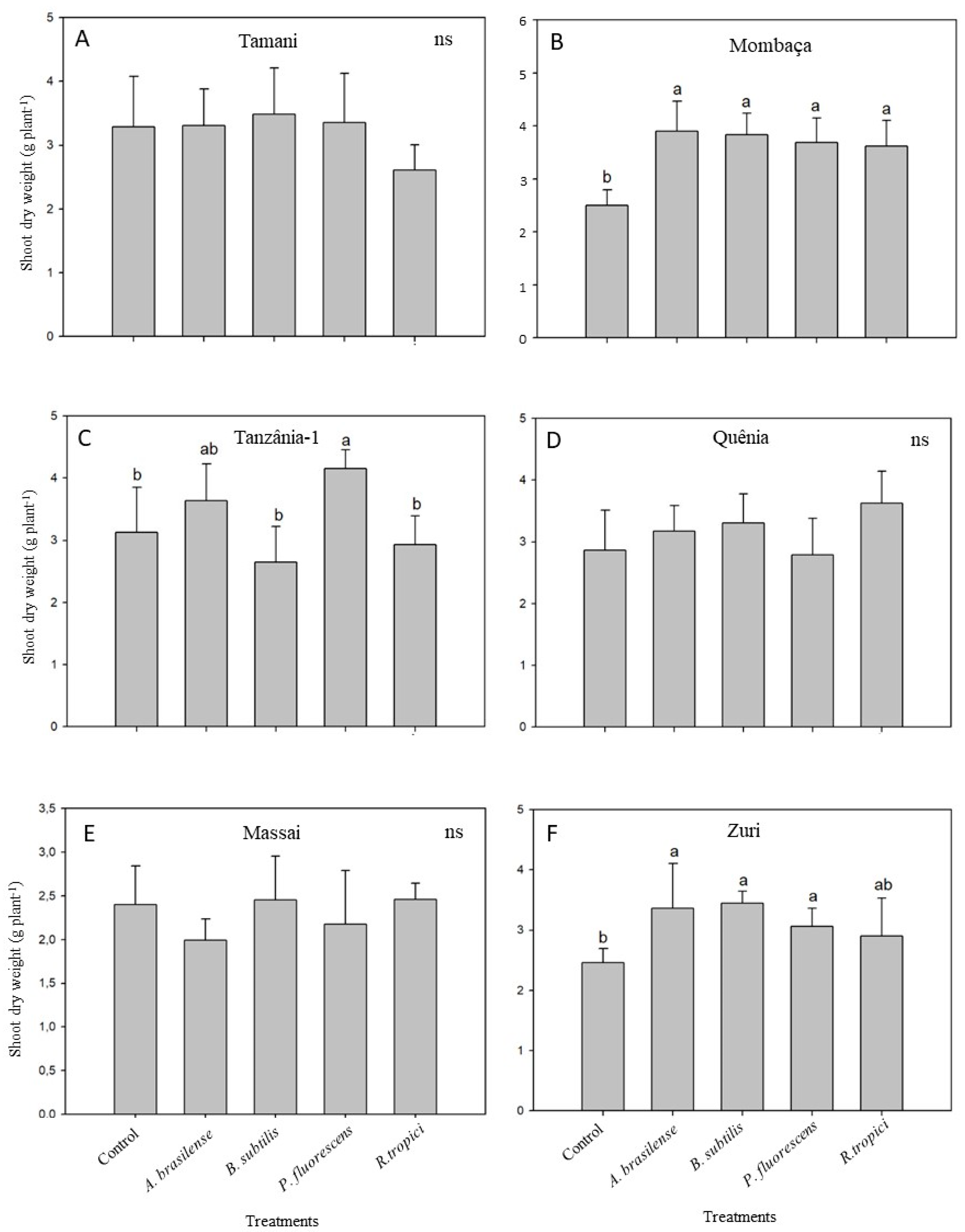 Agronomy 13 00734 g001