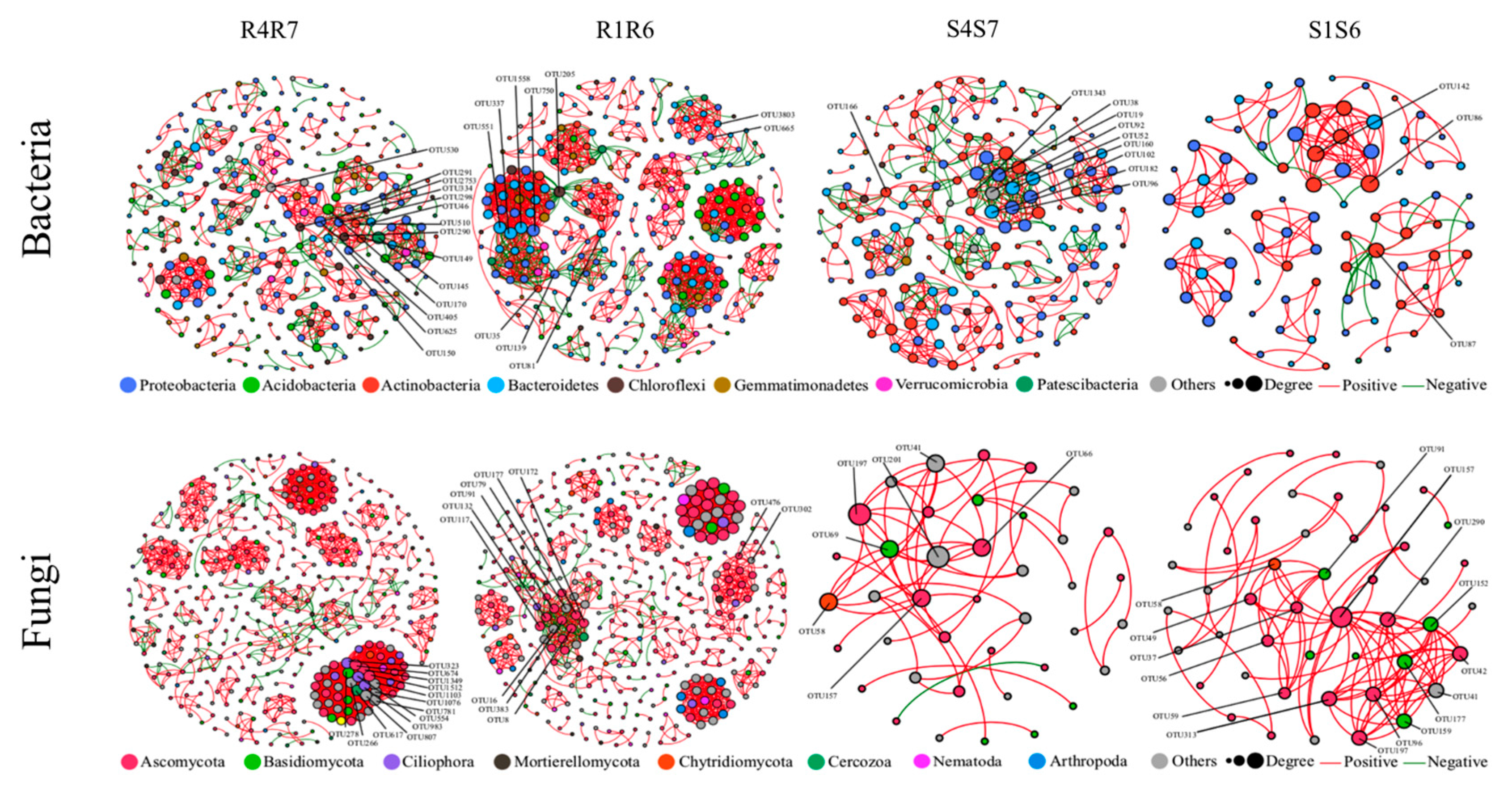 Agronomy 13 00825 g006