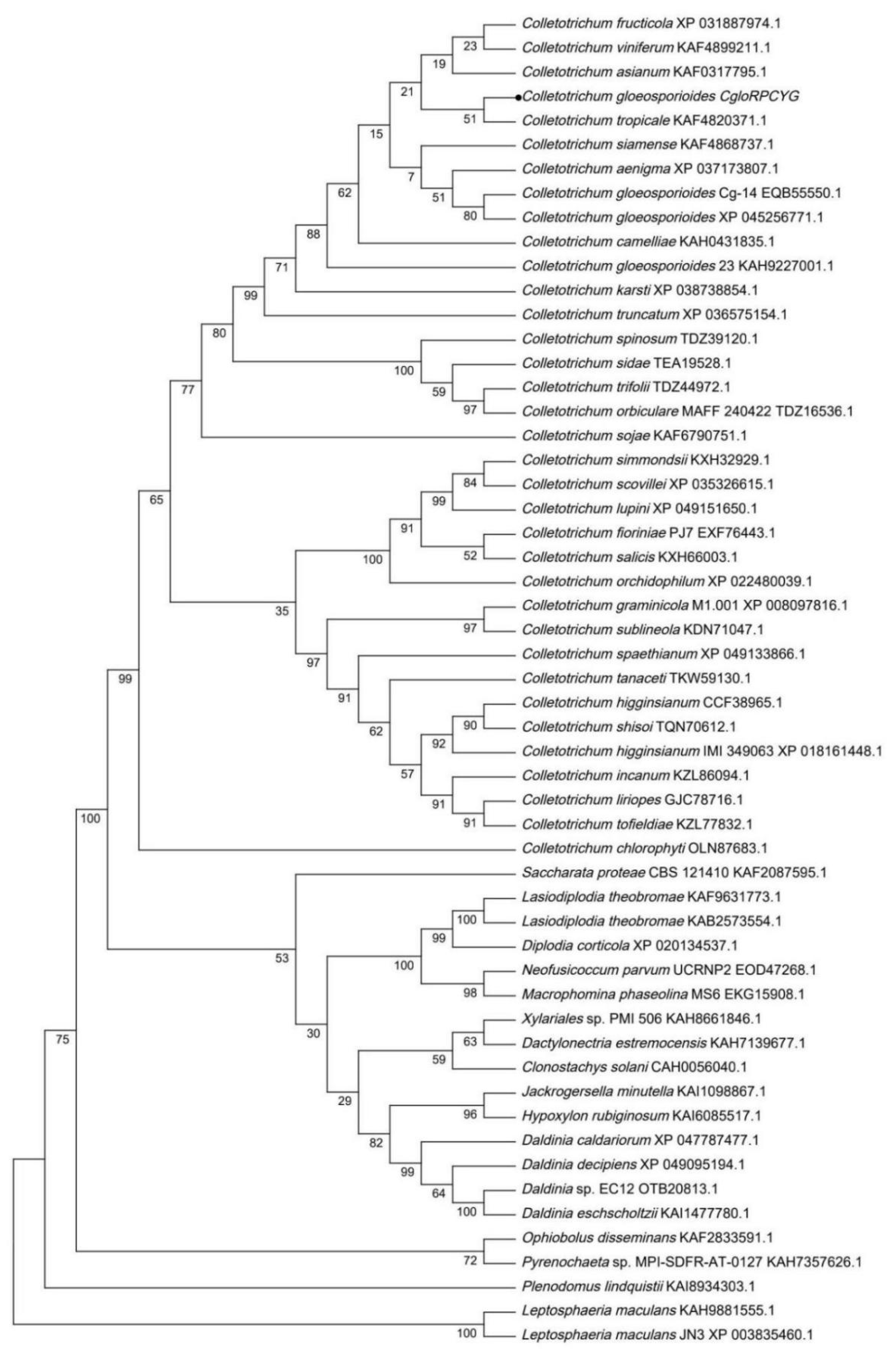 Agronomy 13 01681 g001